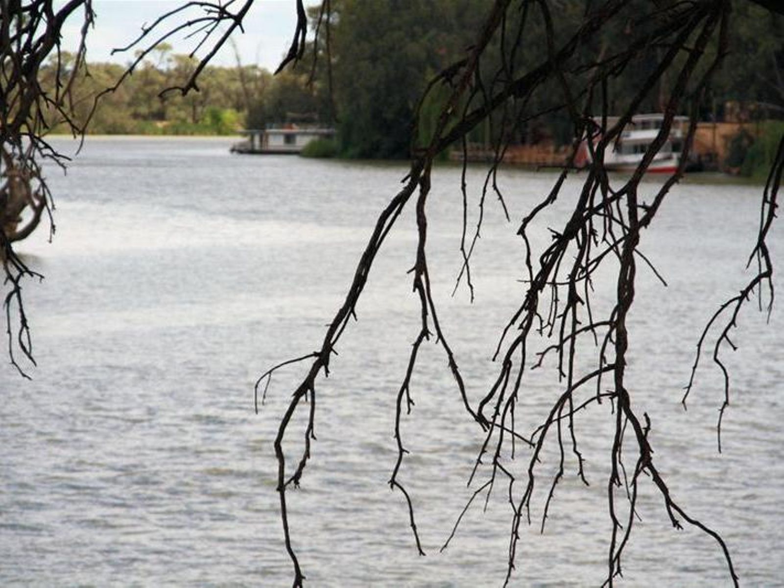 44 River Drive, Buronga - Thumbnail 2