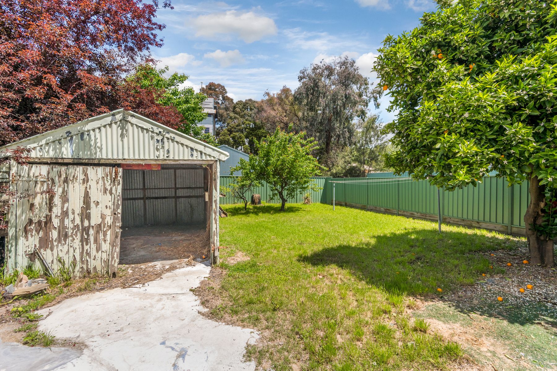 91 Myrtle Street, Bendigo, VIC 3550, Bendigo - Thumbnail 5