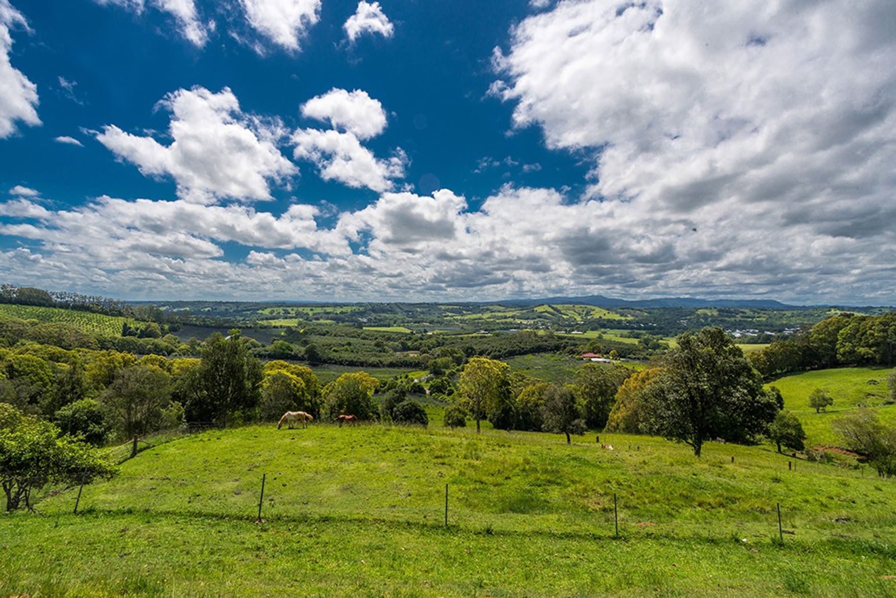 985 Hinterland Way, Bangalow - Thumbnail 7