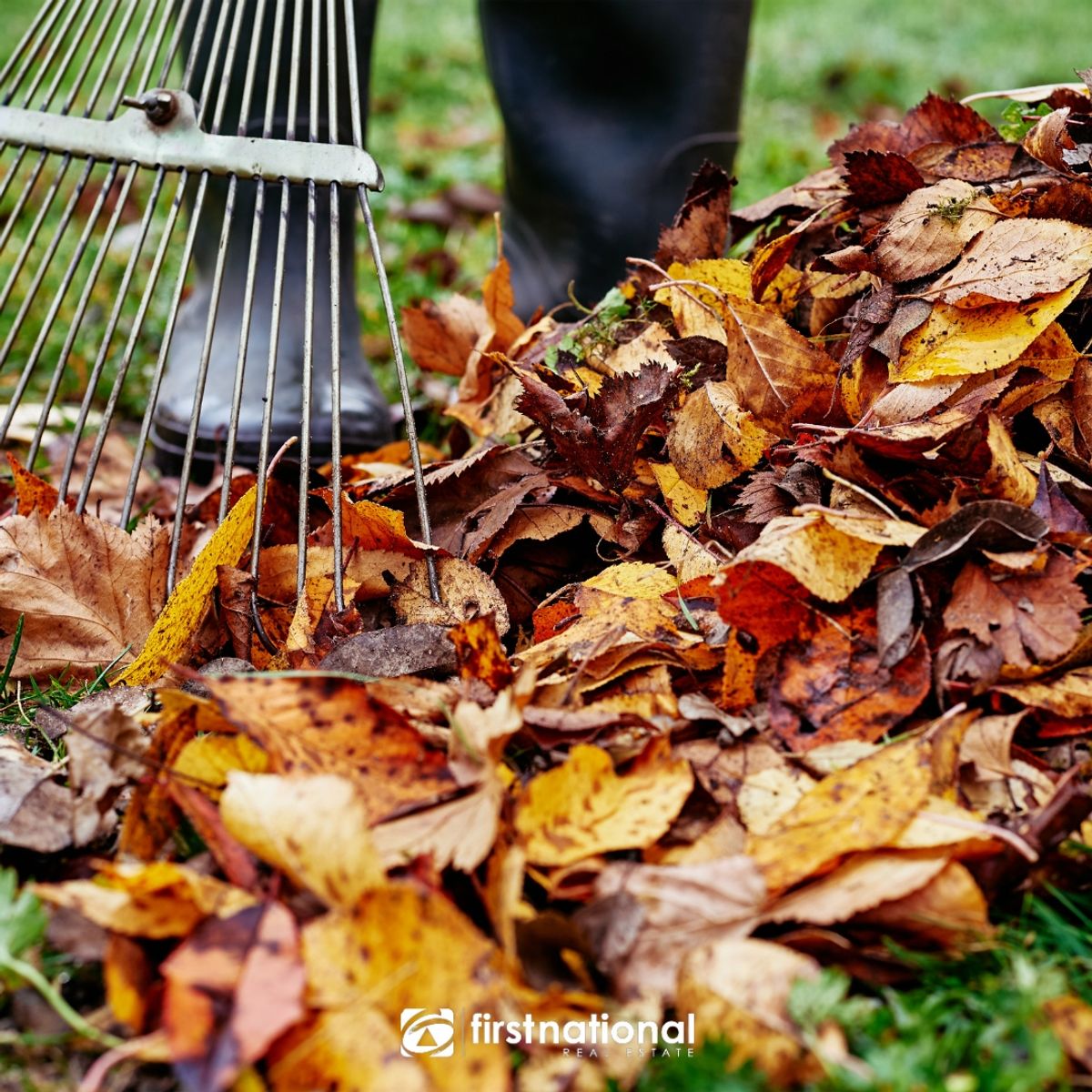 Top gardening tasks to tackle this autumn!