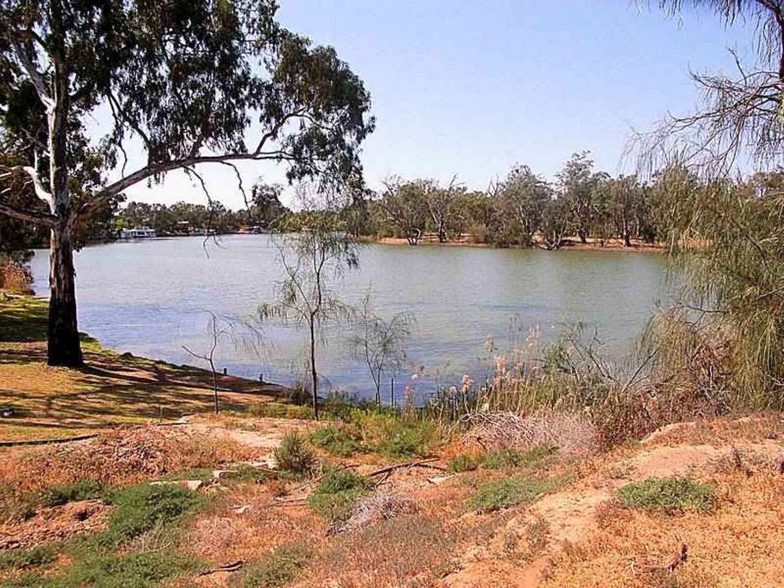 24 River Drive, Buronga - Thumbnail 3