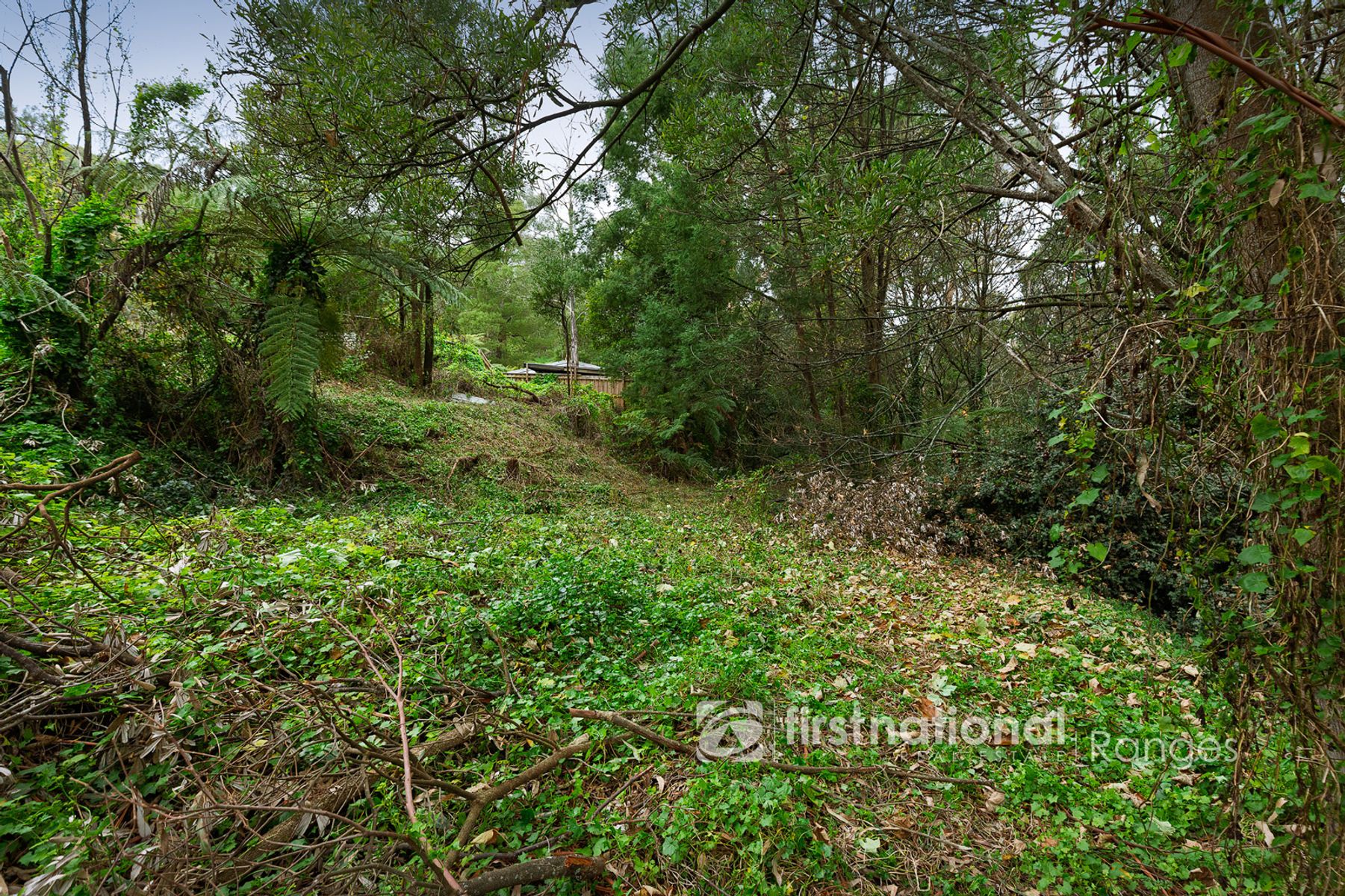 21-25 McAllister Road, Monbulk VIC 3793, Monbulk - Thumbnail 2