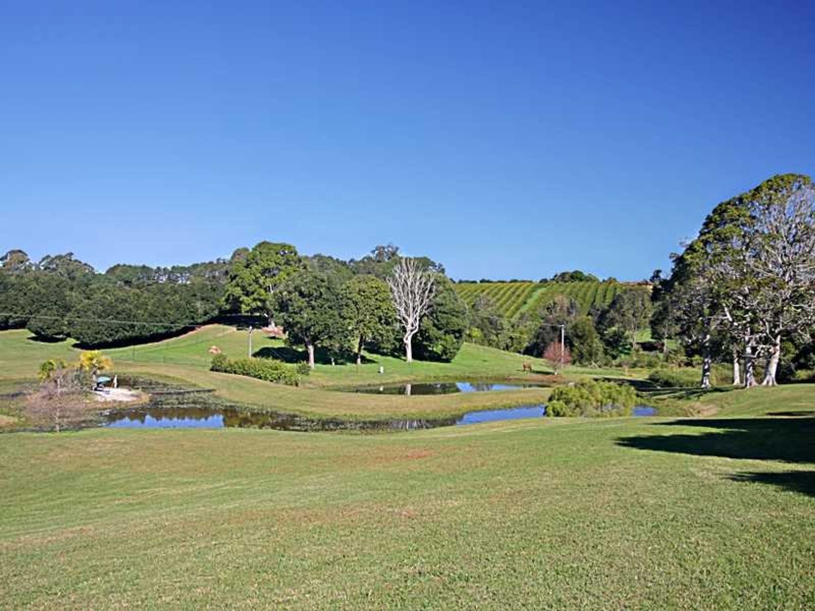 332 Picadilly Hill Road, Coopers Shoot - Thumbnail 4