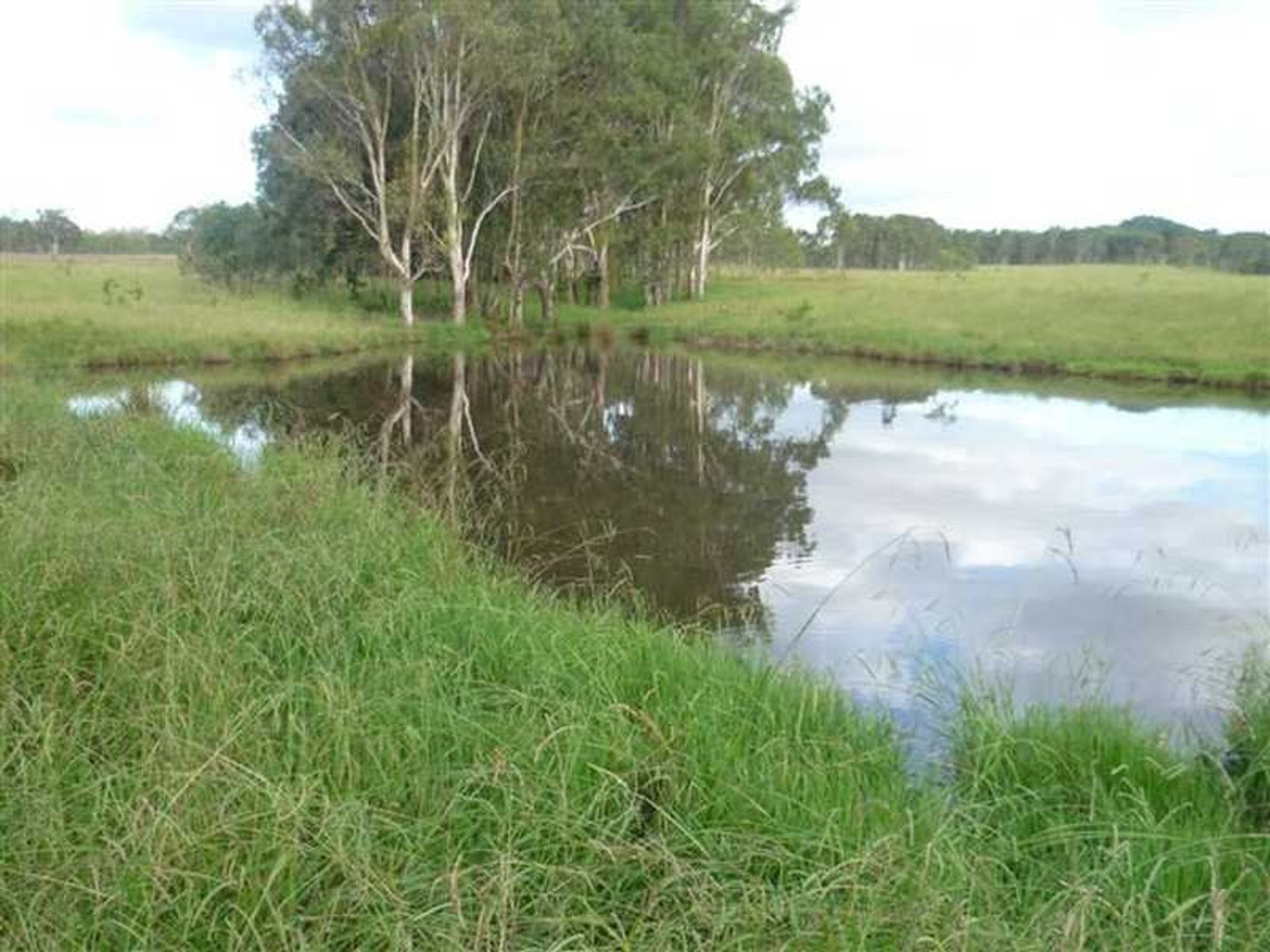 Patersons Road QLD 4373, Patersons Road - Thumbnail 4