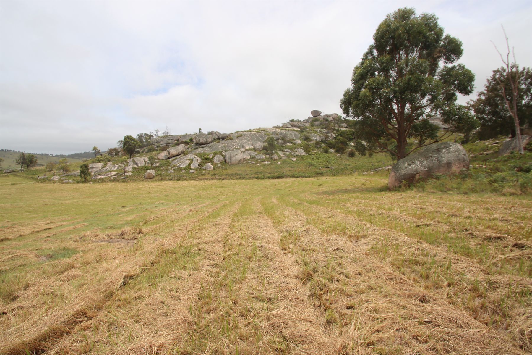 Lot 21 Kildare Road, Tenterfield NSW 2372, Tenterfield - Thumbnail 4