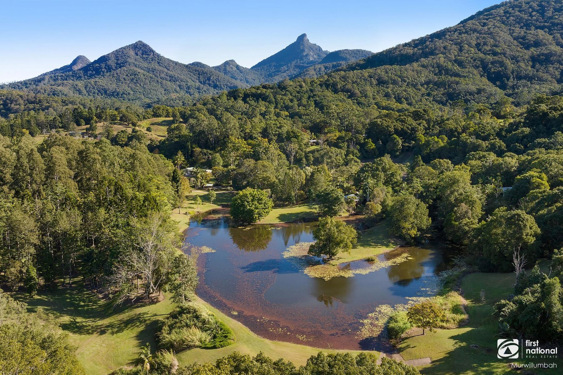 39 Solomons Road, Mount Warning NSW 2484, Mount Warning - Thumbnail 8