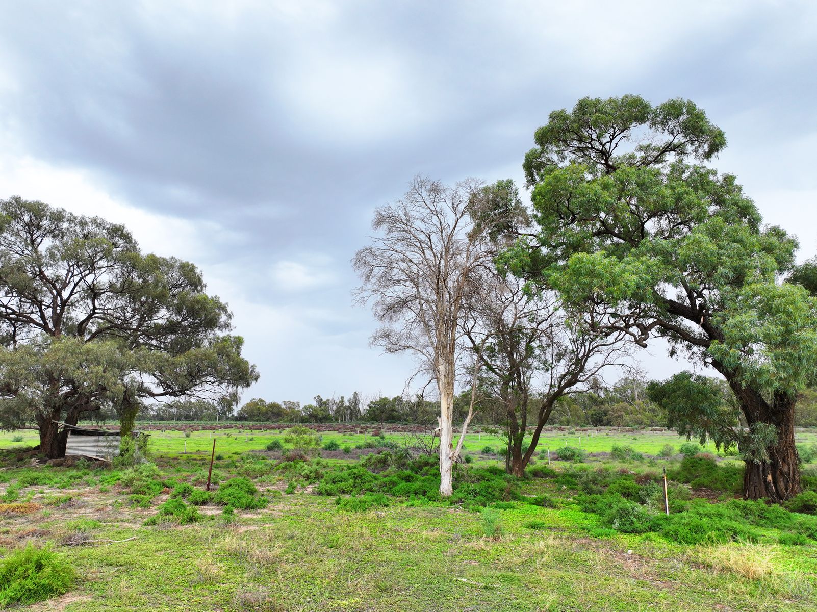 87 Blake Road, Iraak - Thumbnail 6