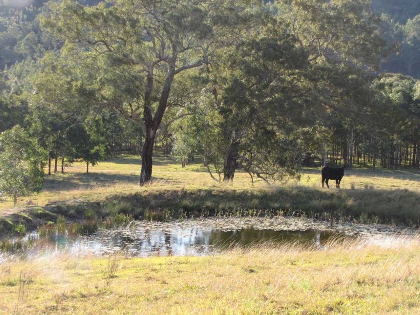 Baryulgil NSW 2460, Baryulgil - Thumbnail 6