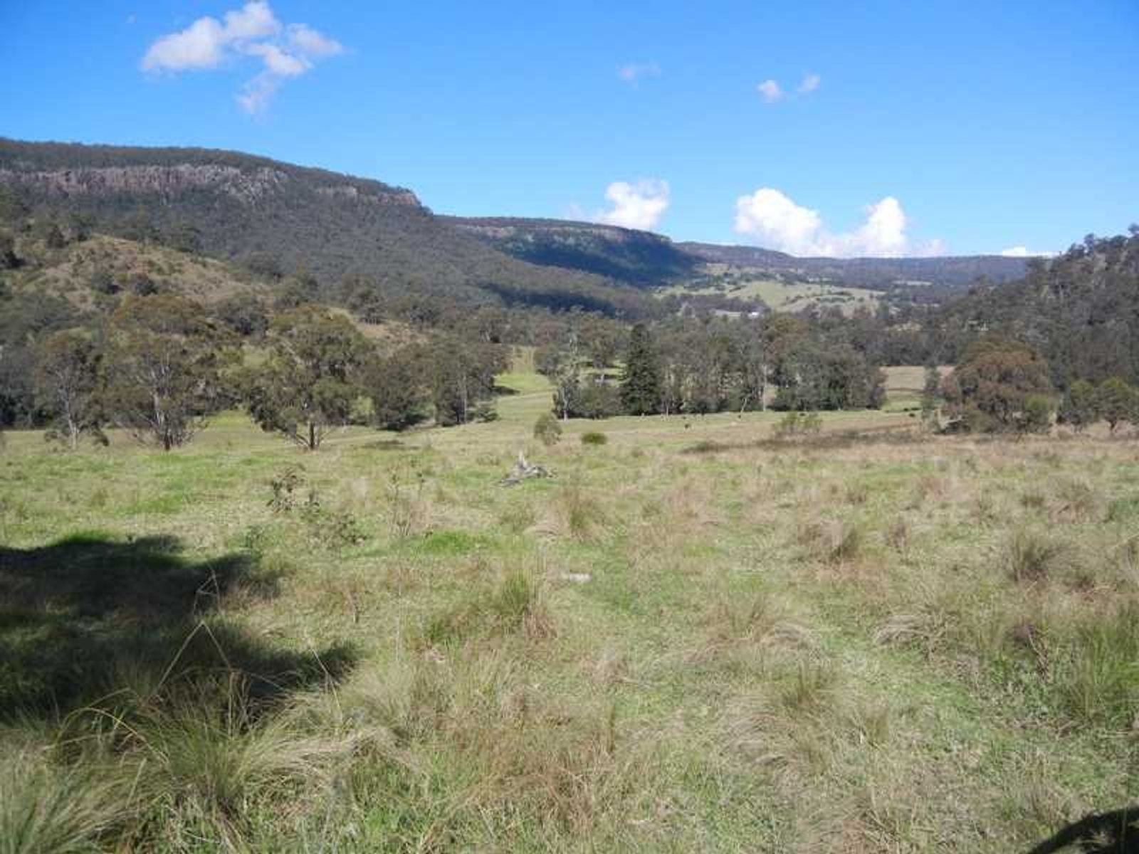 Condamine River Road QLD 4373, Condamine River Road - Thumbnail 4