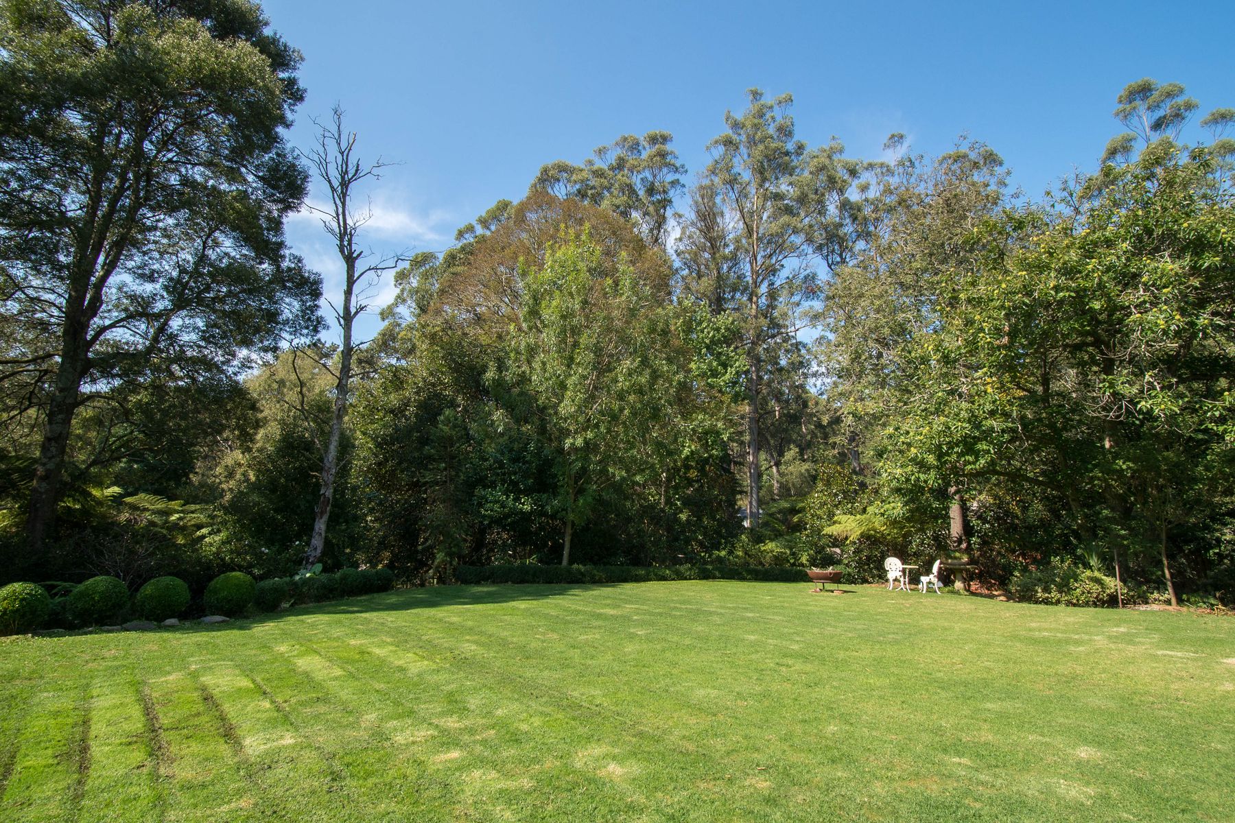 19 Owen Street, Kallista VIC 3791, Kallista - Thumbnail 6
