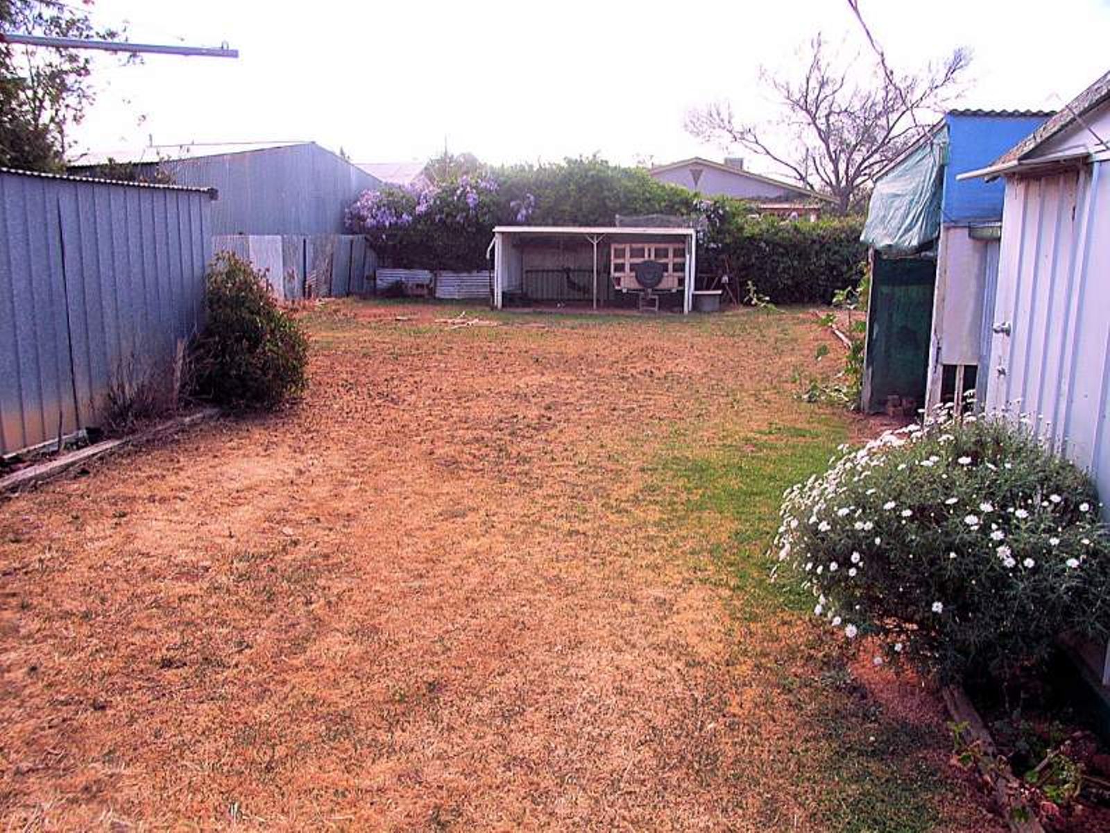 3 Brentwood Avenue, Mildura - Thumbnail 4