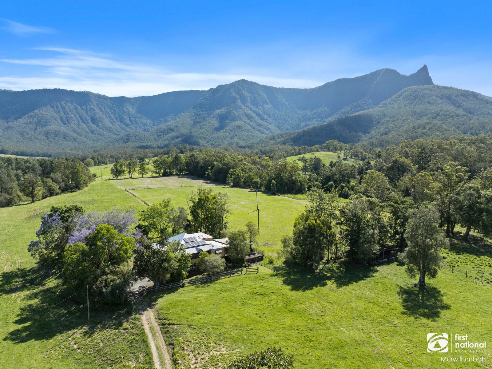 252 Back Creek Road, Back Creek NSW 2484, Back Creek - Image 1