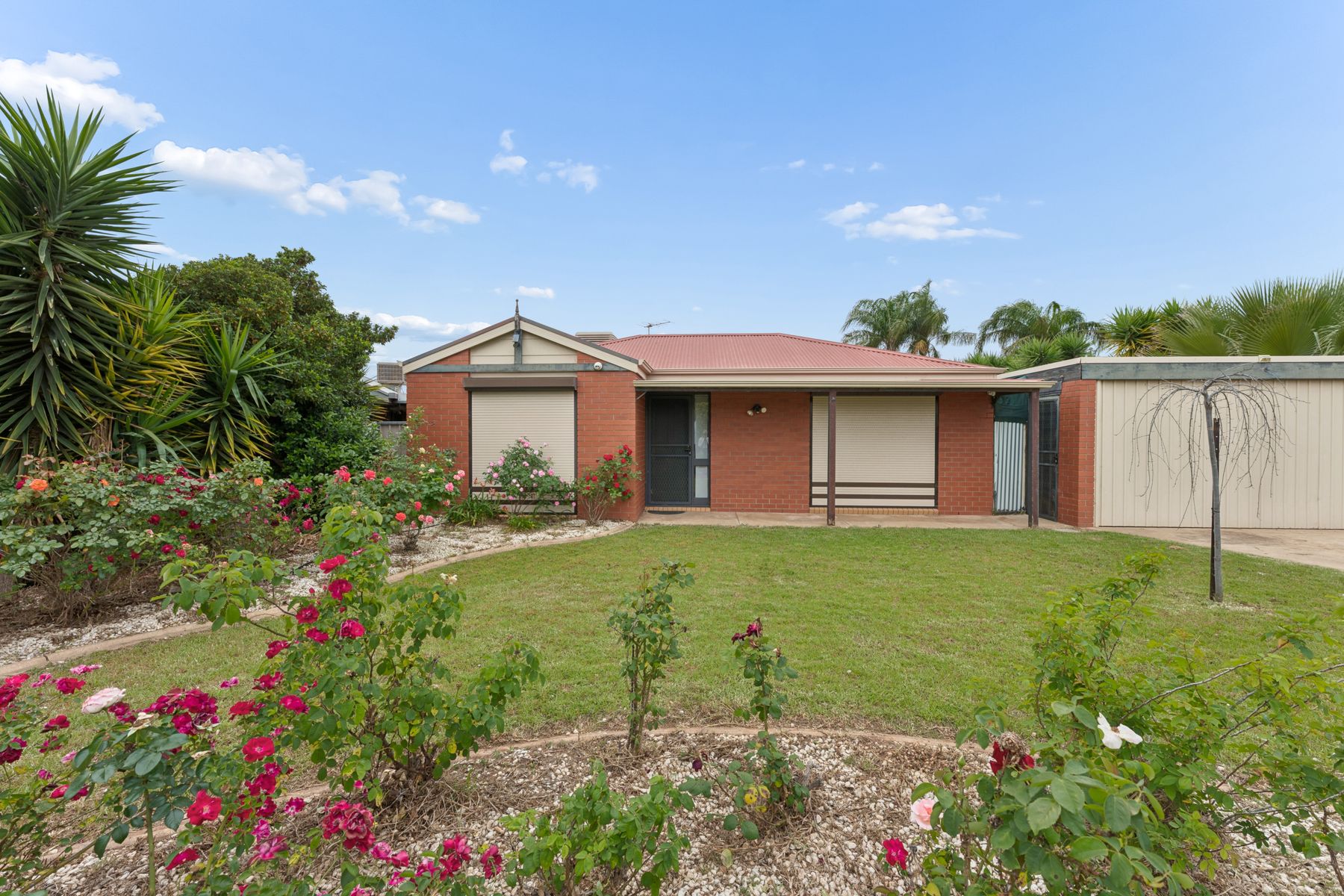10 Cavallo Drive, Mildura - Image 1