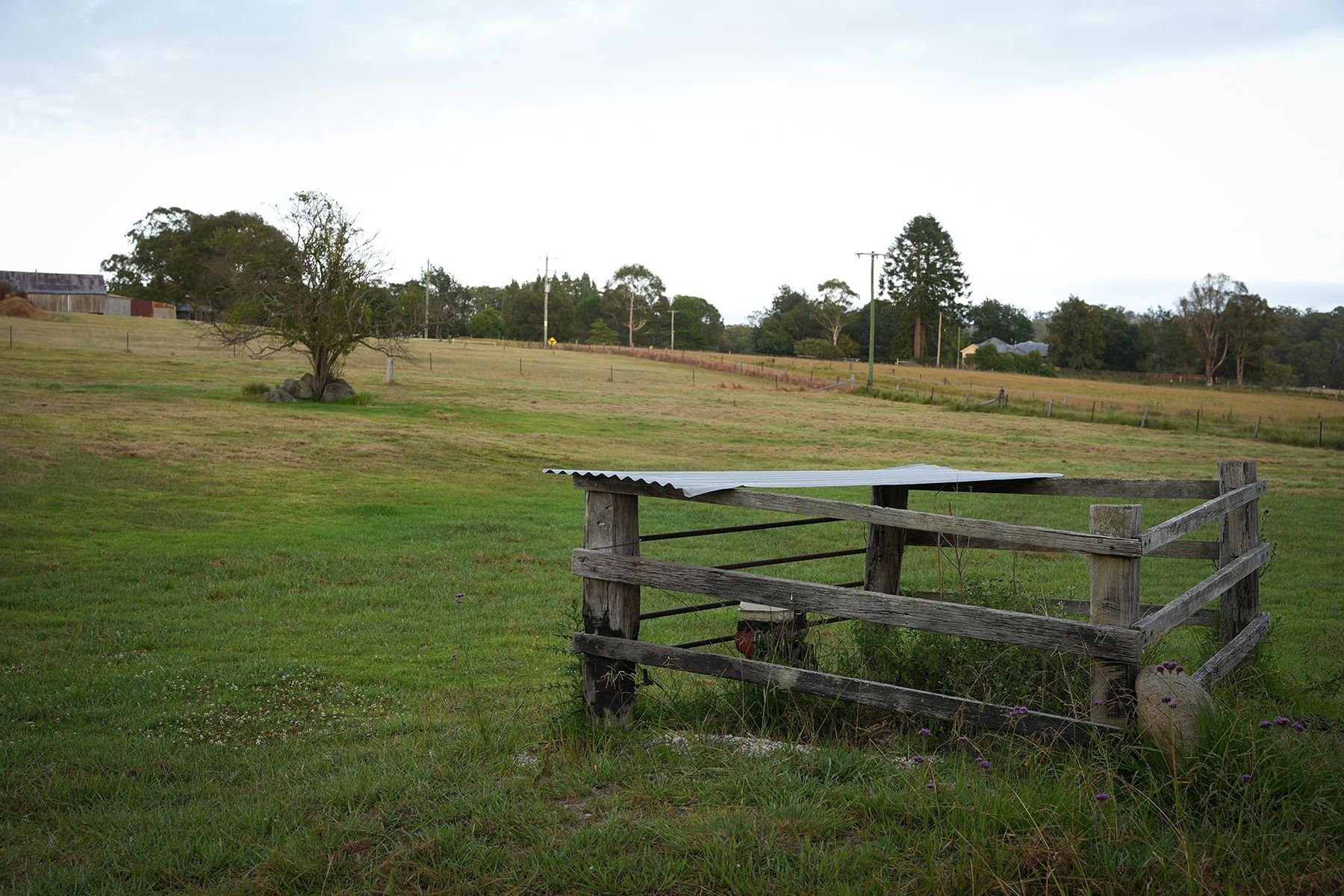 171 Millers Lane, Tenterfield NSW 2372, Tenterfield - Thumbnail 8