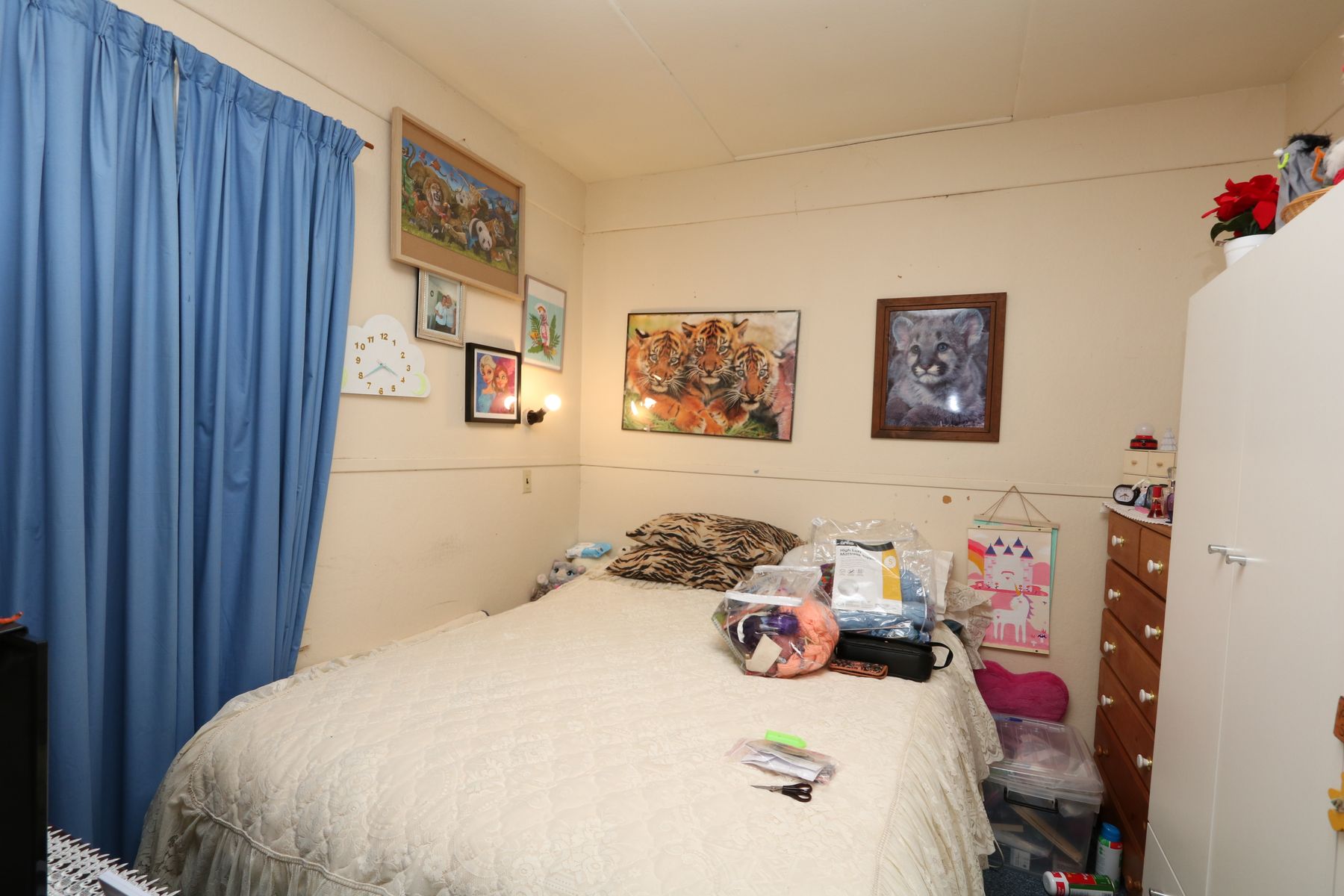 209 Gladstone Street,, Maryborough VIC 3465, Maryborough - Thumbnail 6