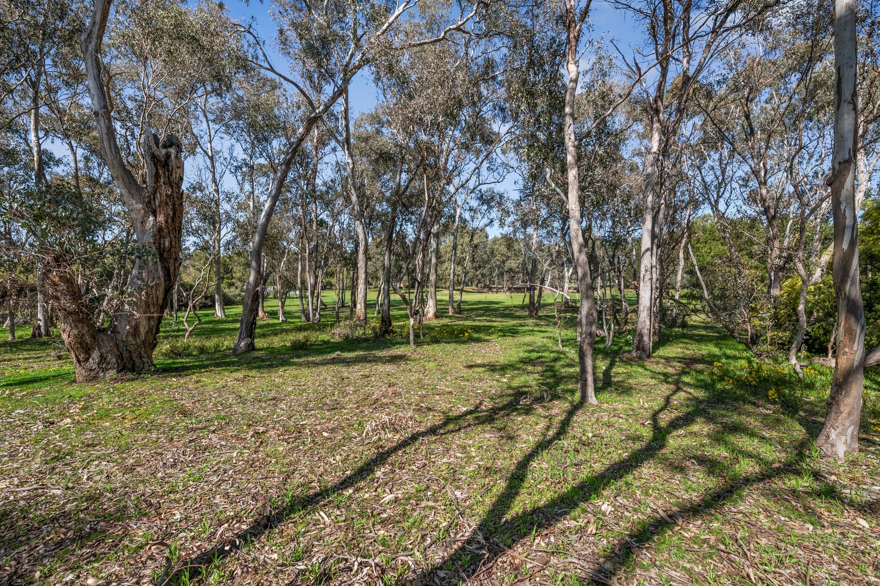 158 Sinclairs Road, Strathfieldsaye VIC 3551, Strathfieldsaye - Thumbnail 5
