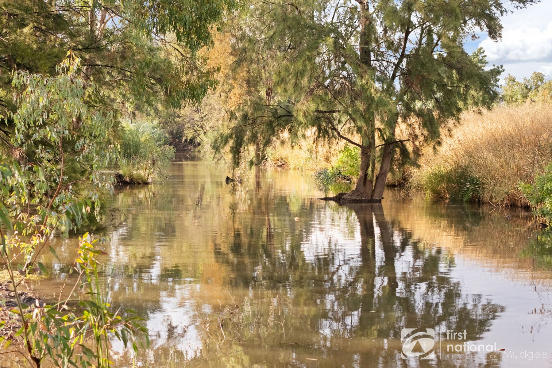 154 Market Street, Mudgee NSW 2850, Mudgee - Thumbnail 2