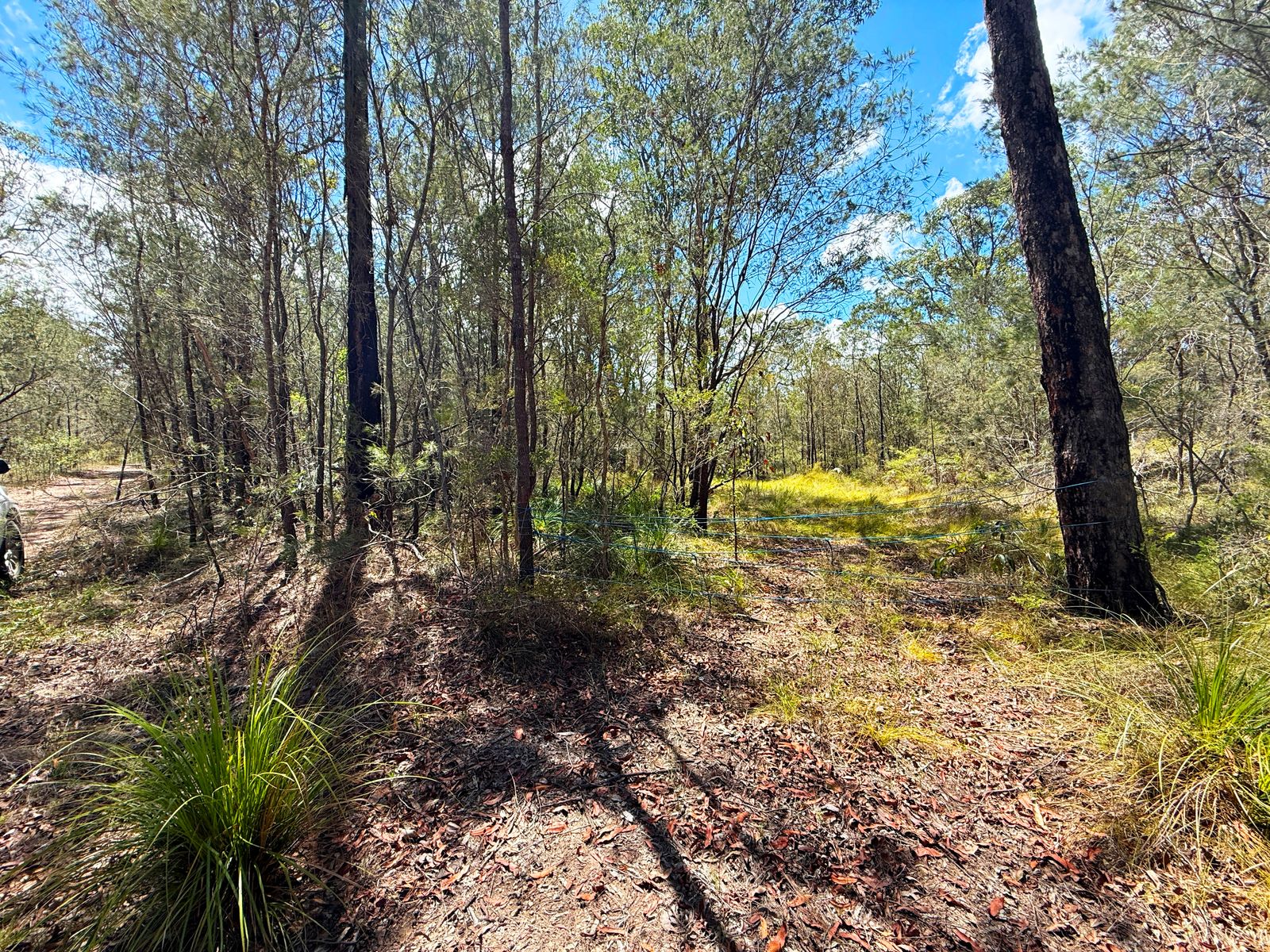 Lot 315 Glen Innes Road, North Arm Cove NSW 2324, North Arm Cove - Thumbnail 5