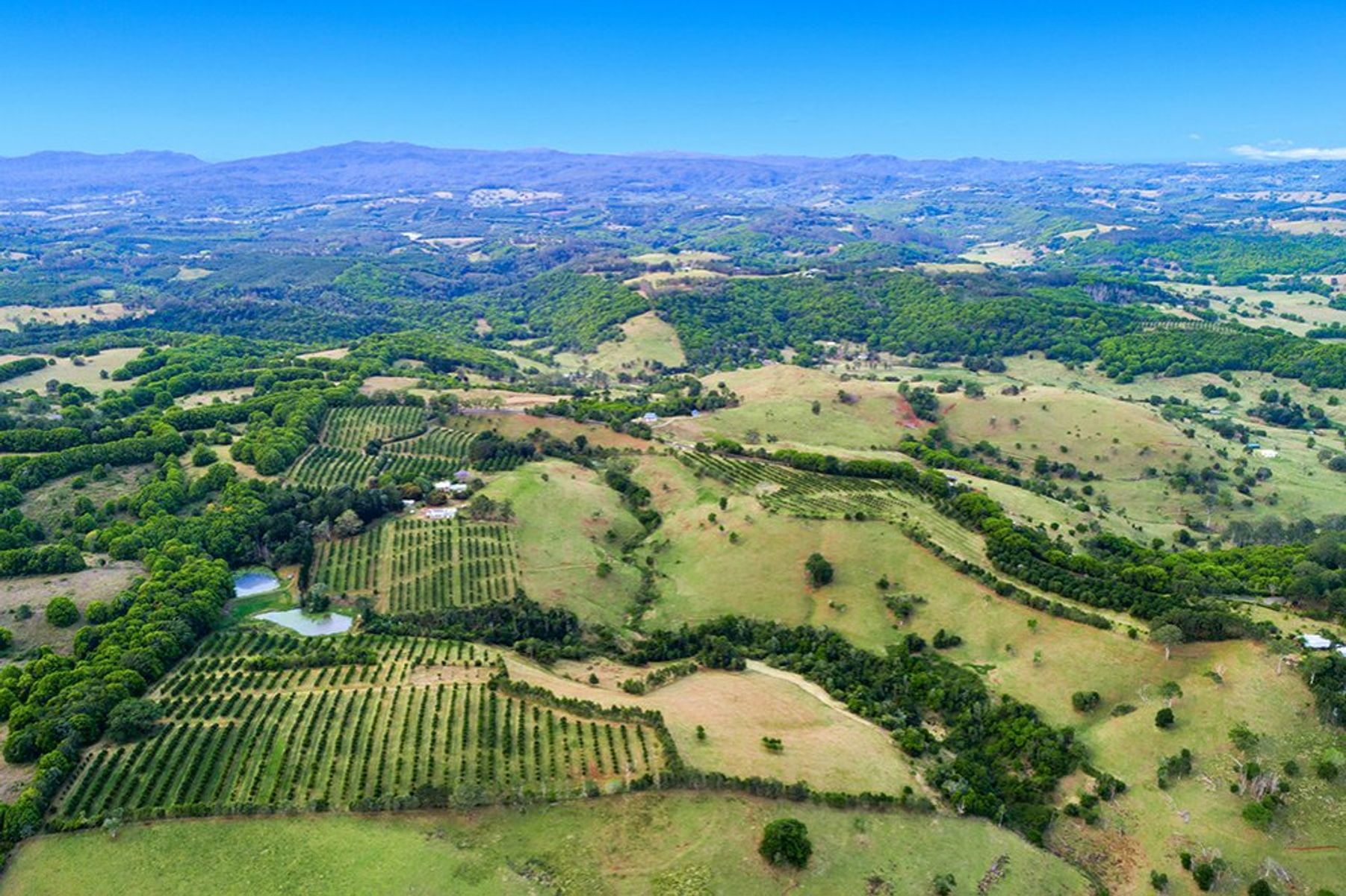 153 Hunters Hill Rd, Numulgi - Thumbnail 8