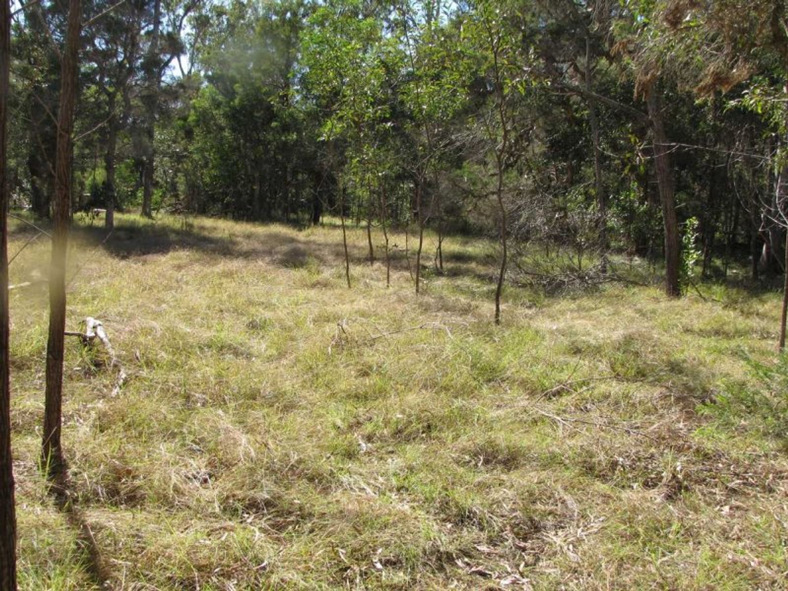 Elliot Rd NSW 2469, Elliot Rd - Thumbnail 8