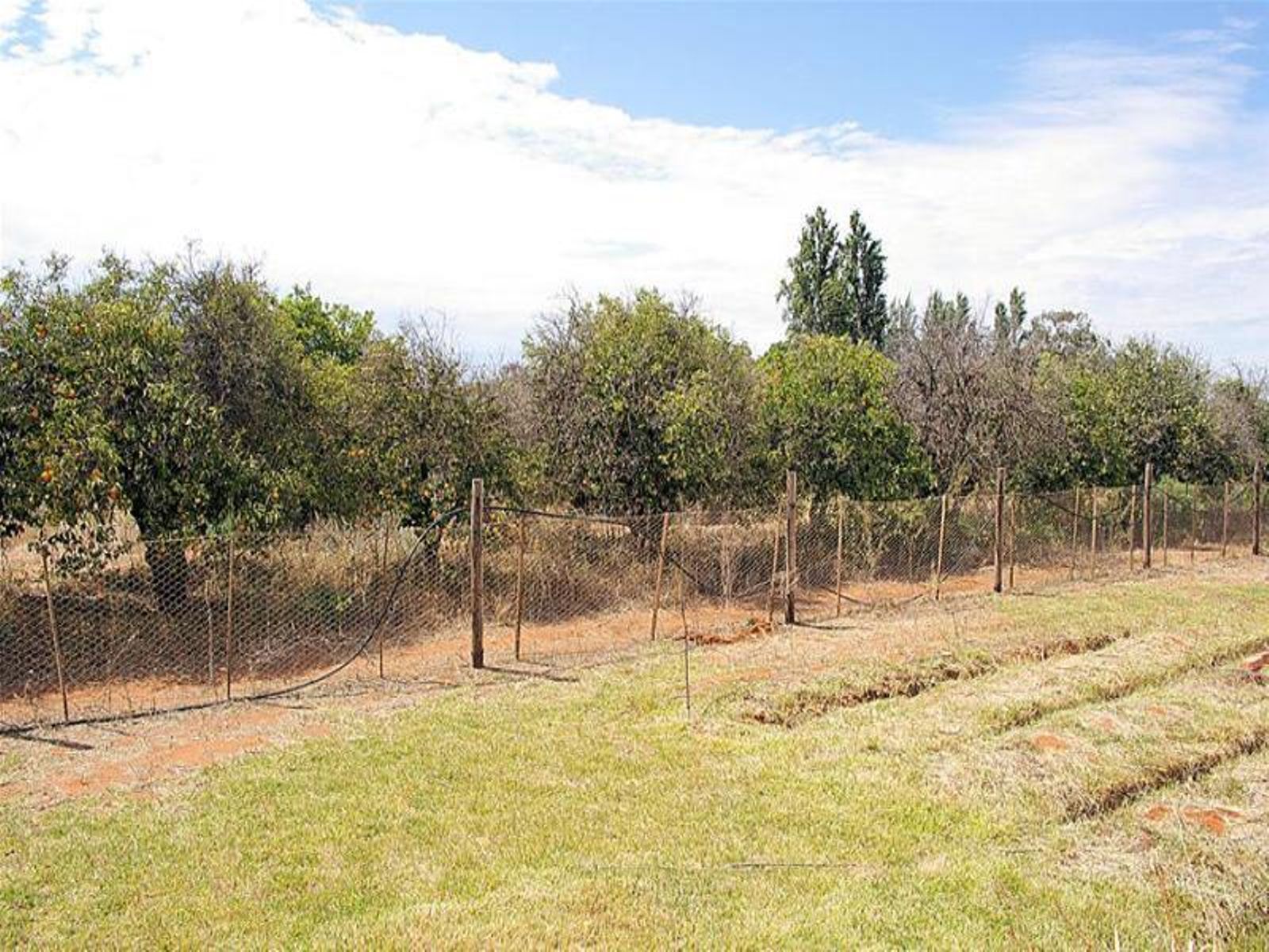 422 Fifth Street, Merbein - Thumbnail 8