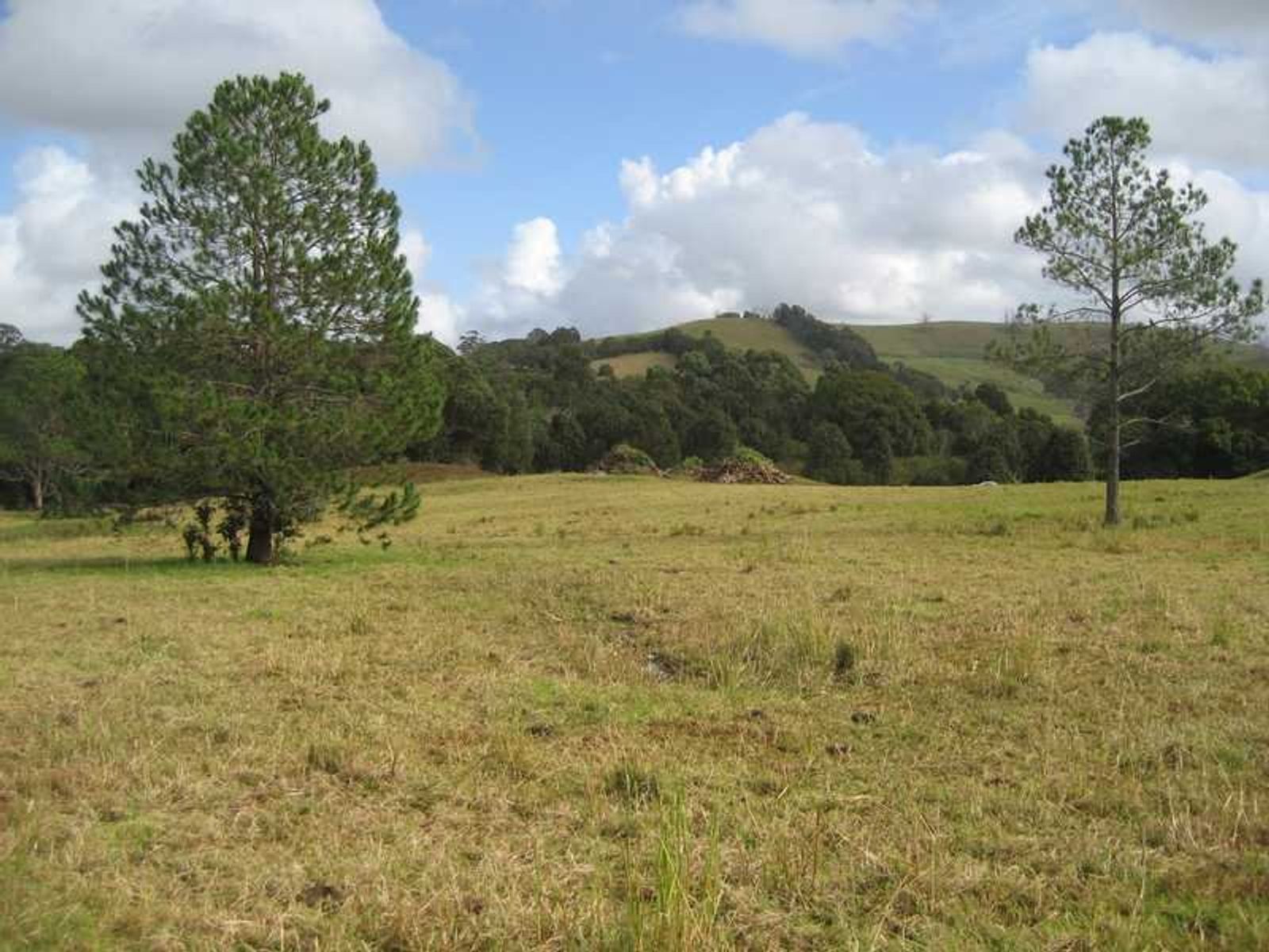 Lot 78 Lot 78 Palm Lily Crescent, Bangalow - Thumbnail 6