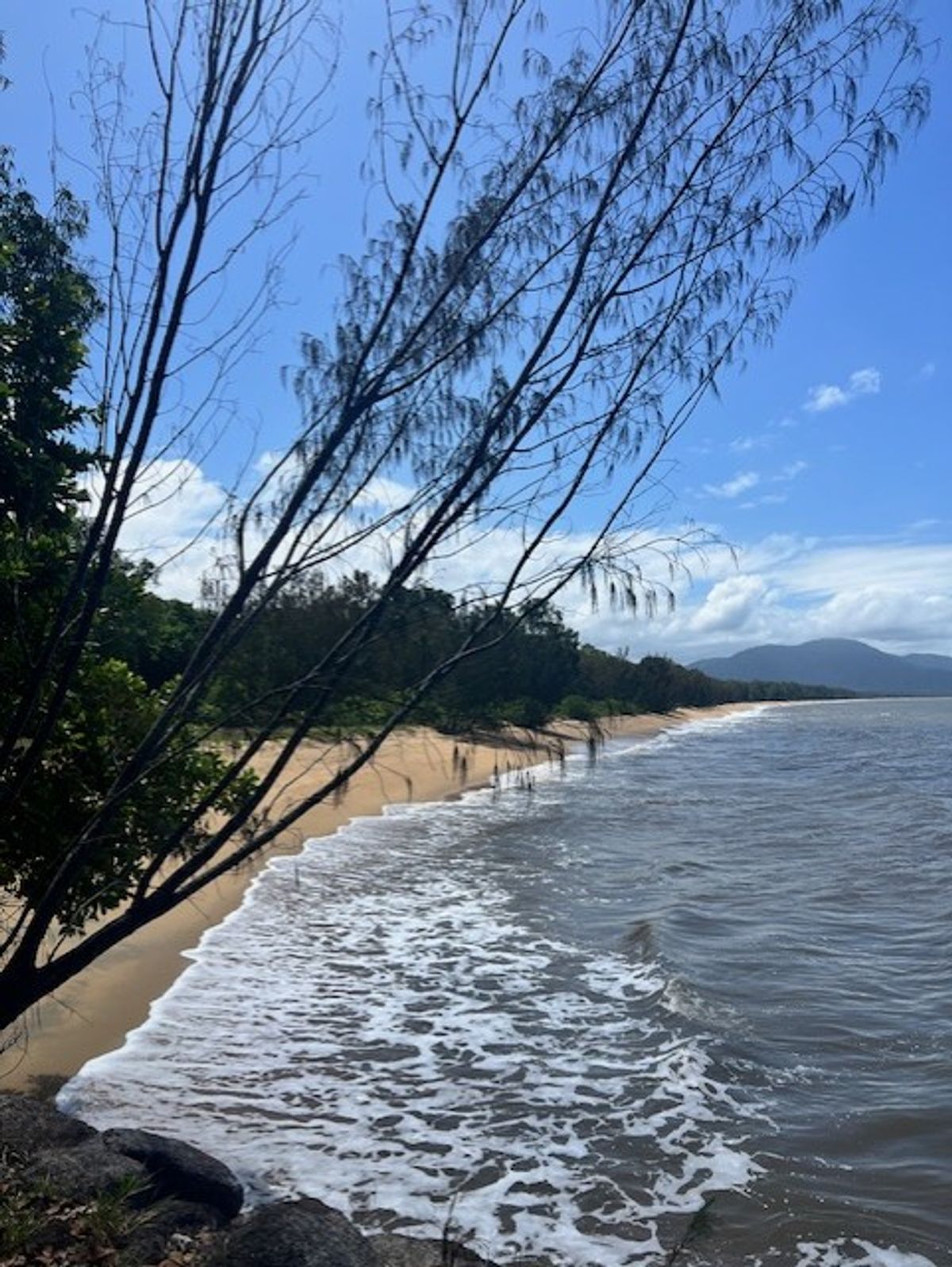 18 Paperbark Street, Bramston Beach QLD 4871, Bramston Beach - Thumbnail 5
