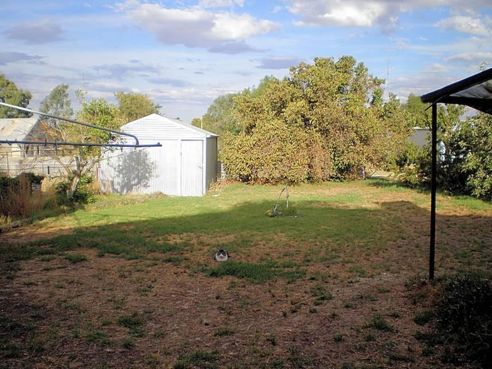 11-13 Sharock Street, Underbool, VIC 3509, Underbool - Thumbnail 3