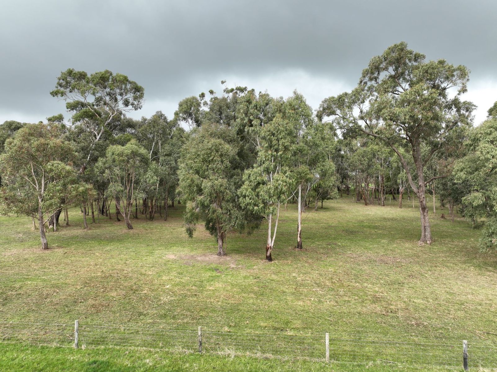 102 Jeeralang North Road, Hazelwood North, VIC 3840, Hazelwood North - Thumbnail 7