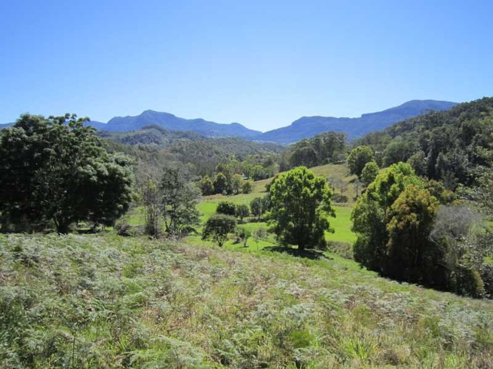 1468 Numinbah Road, Chillingham - Thumbnail 8