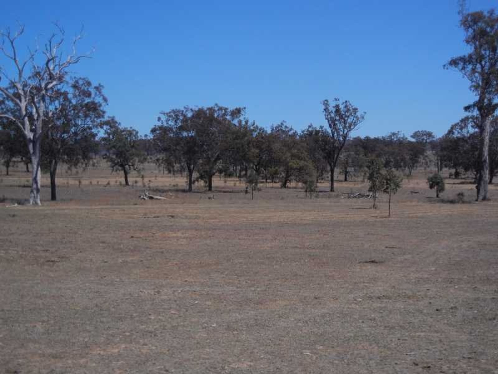 20641 New England HIghway, Warwick, QLD 4370, The Glen - Thumbnail 7