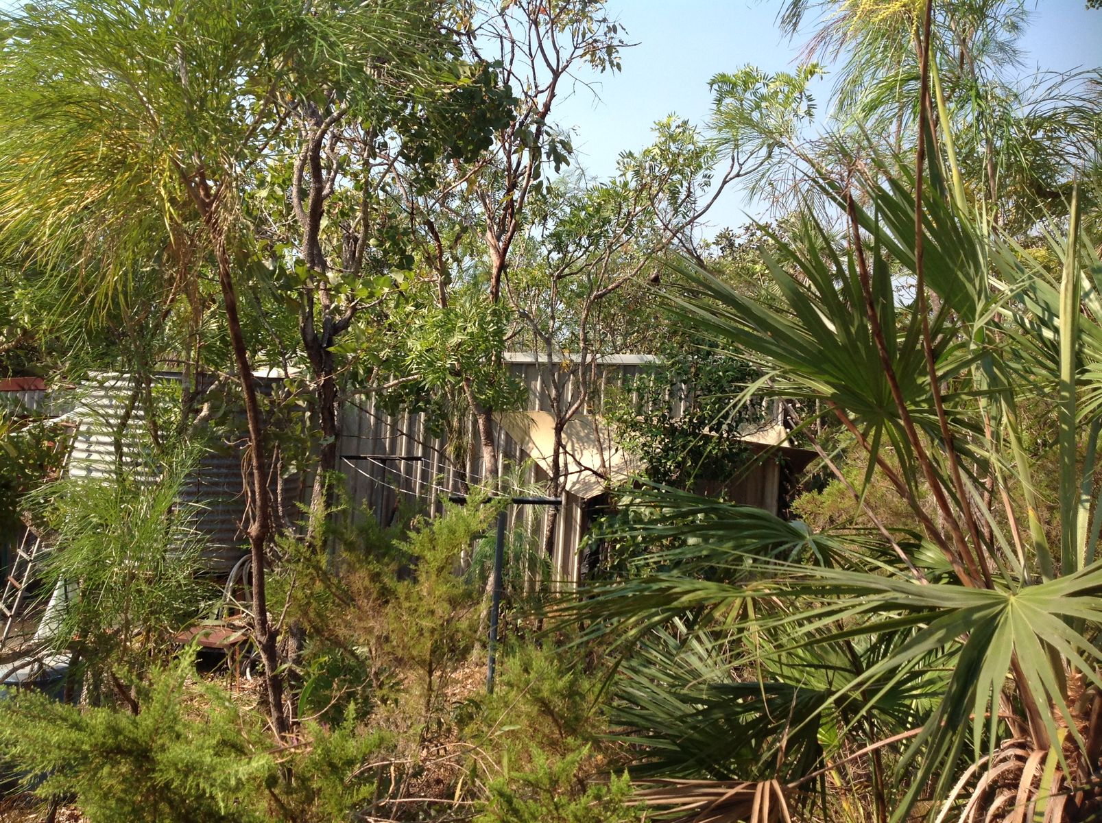 225 Venture Road, Bynoe NT 0822, Bynoe - Thumbnail 4