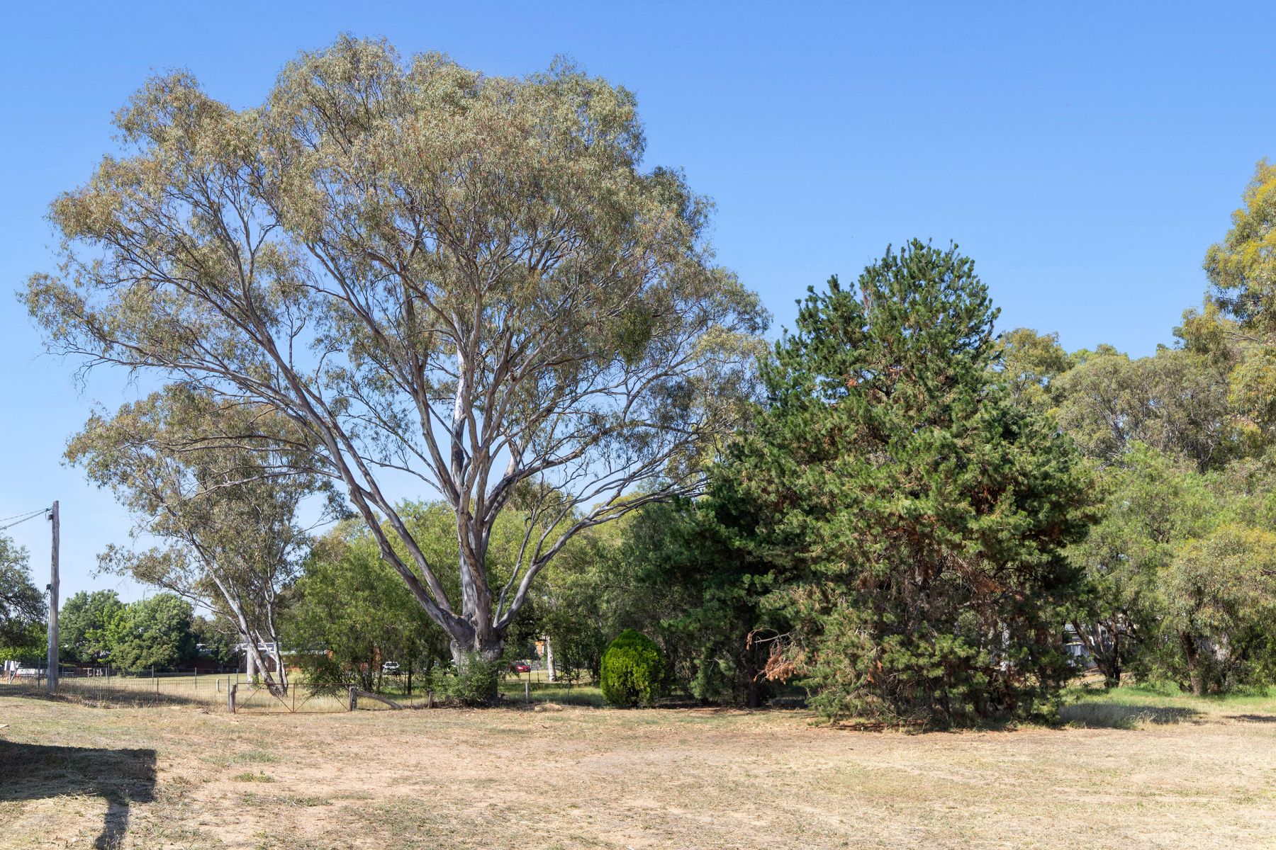 Lot 2, 1-3 Bank Street, Kangaroo Flat VIC 3555, Kangaroo Flat - Thumbnail 4