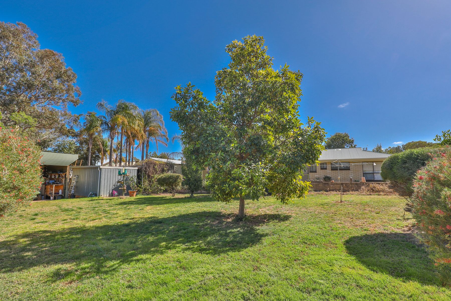 59 Nursery Ridge Road, Red Cliffs - Thumbnail 3
