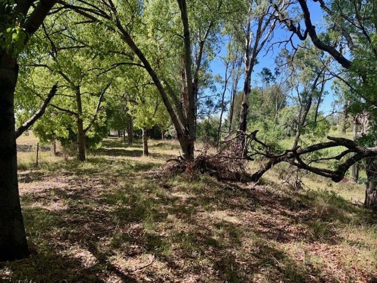 660 Warral Road, Tamworth NSW 2340, Warral - Thumbnail 4