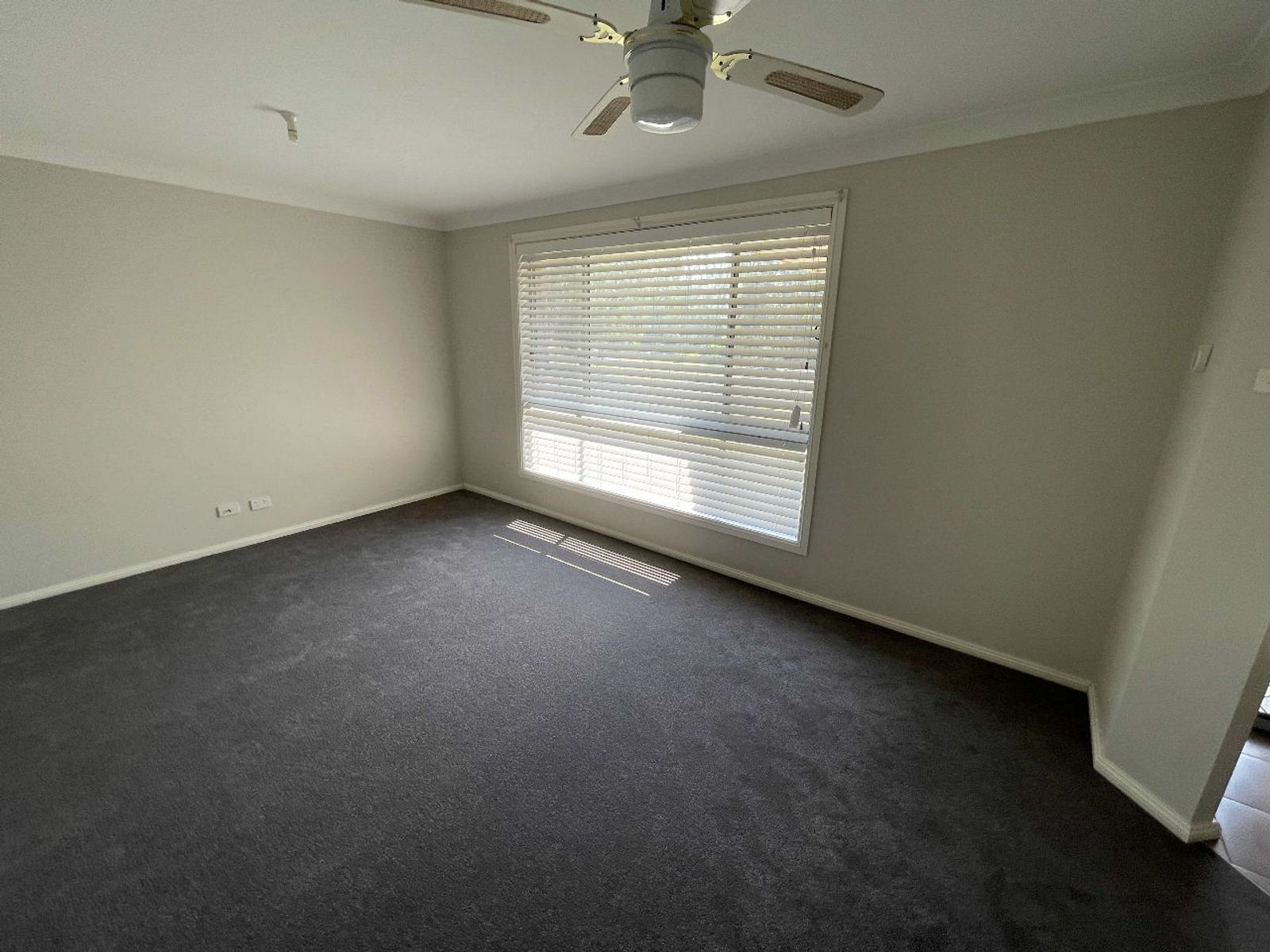 4 Paxton Street, Denman NSW 2328, Denman - Thumbnail 3