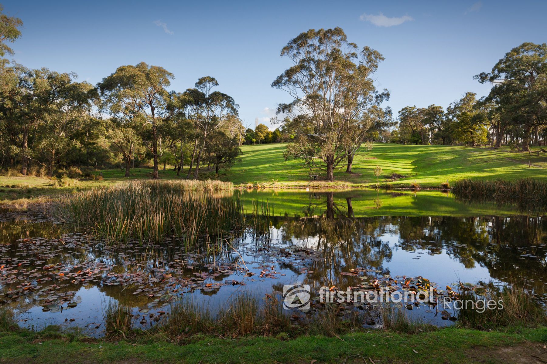 251 Tschampions Road, Macclesfield VIC 3782, Macclesfield - Thumbnail 5