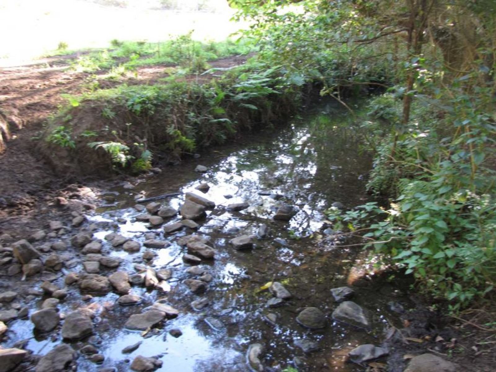Muller Roseberry Creek Road, Roseberry Creek - Thumbnail 5