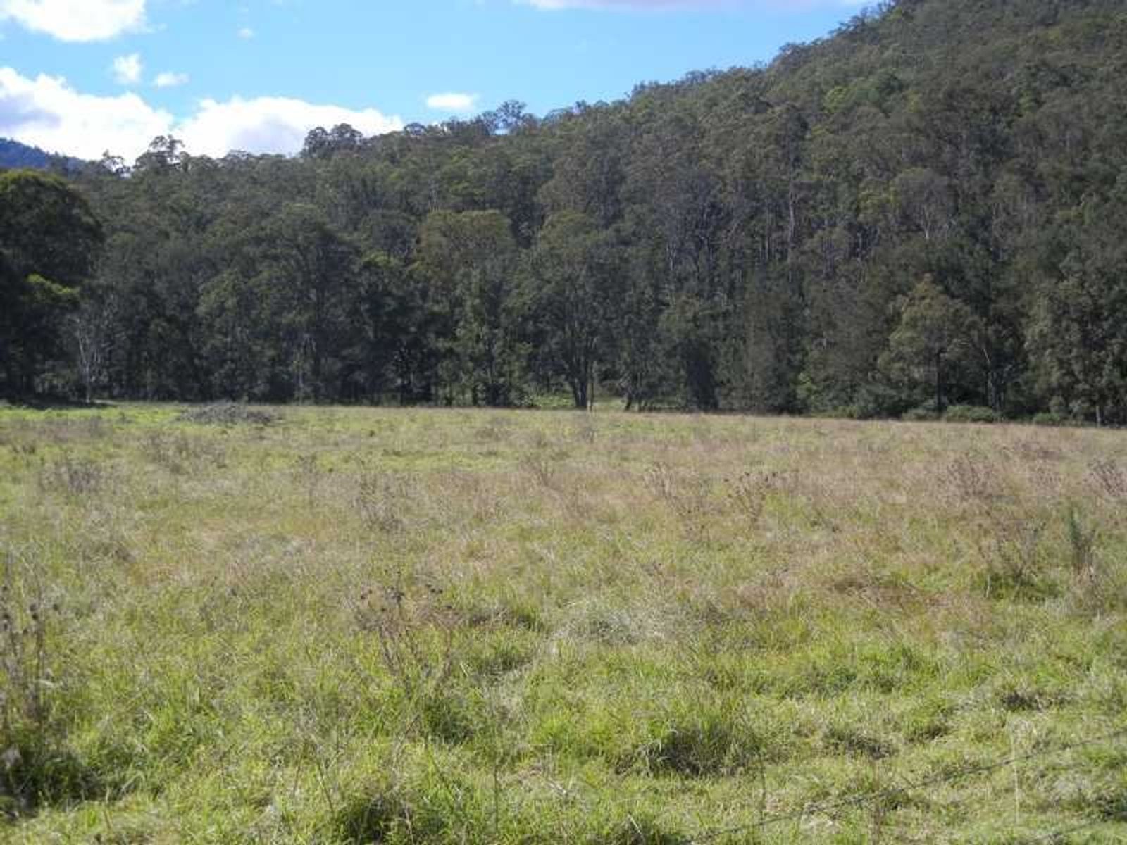 Condamine River Road QLD 4373, Condamine River Road - Thumbnail 6