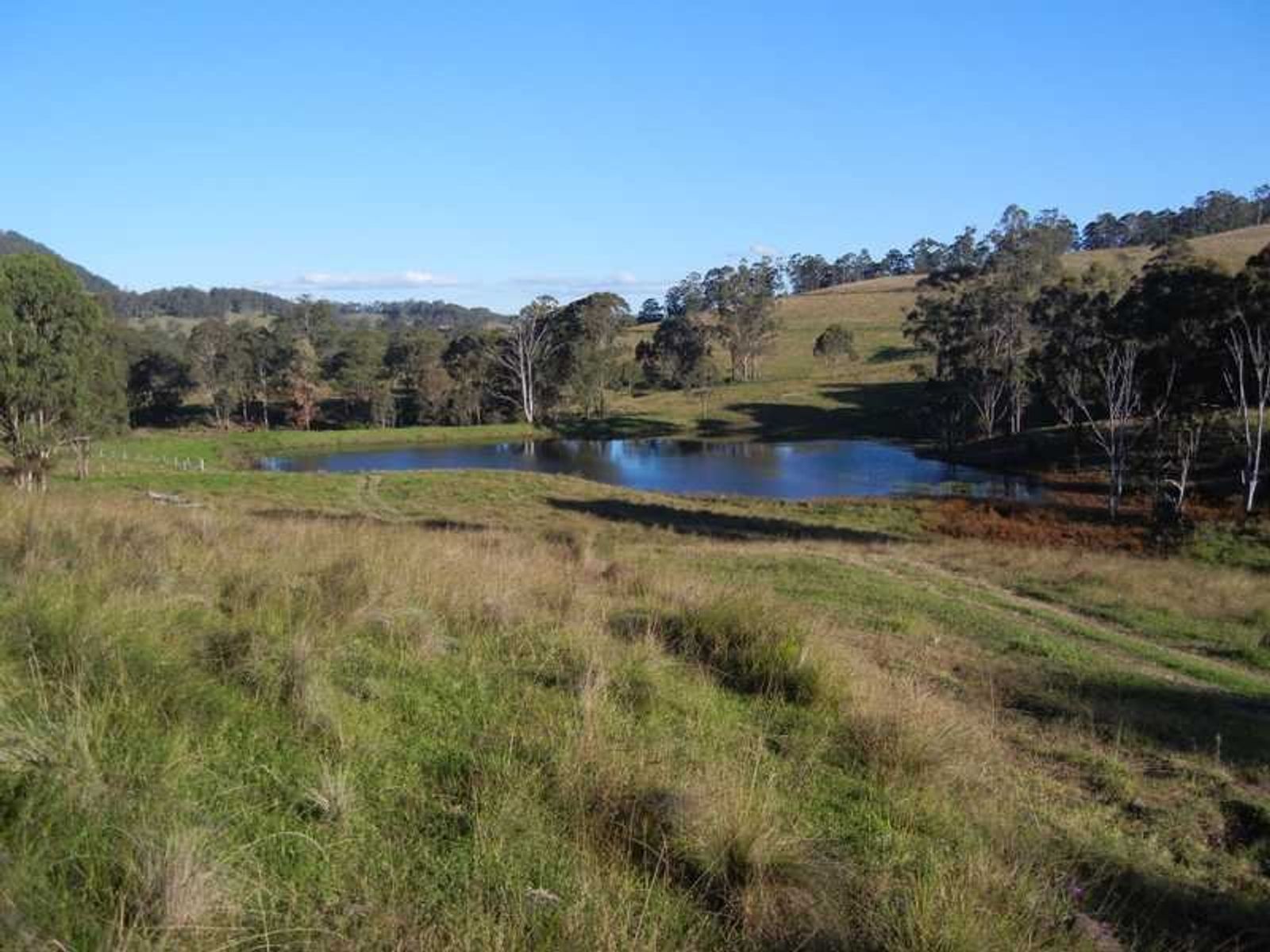 273 Killarney Road, Legume - Thumbnail 4