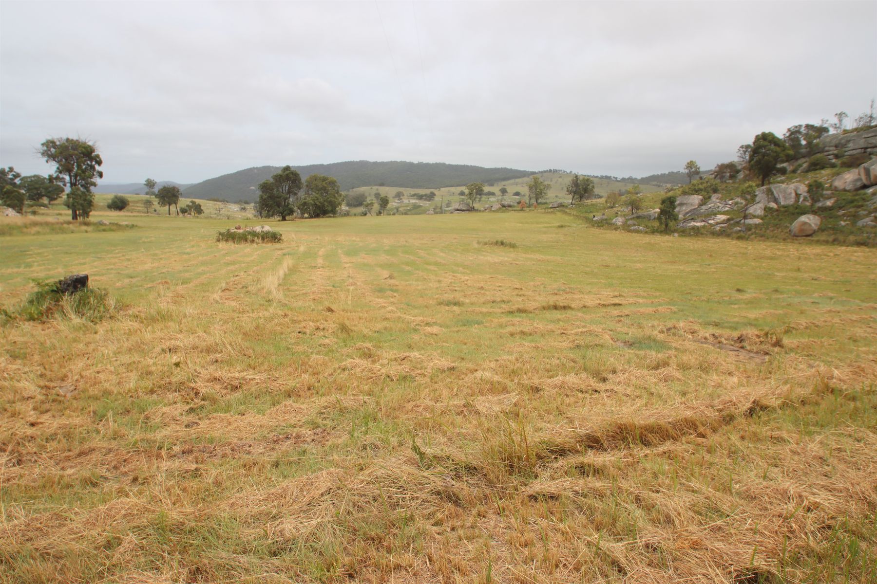 Lot 21 Kildare Road, Tenterfield NSW 2372, Tenterfield - Thumbnail 8