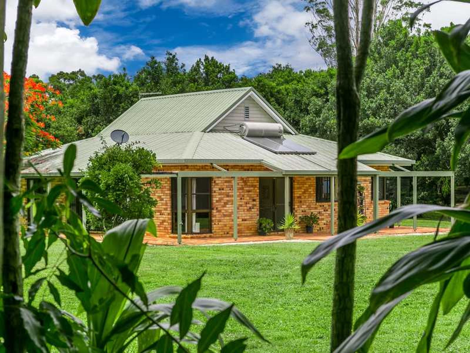 199 Arthur Road, Corndale - Thumbnail 4