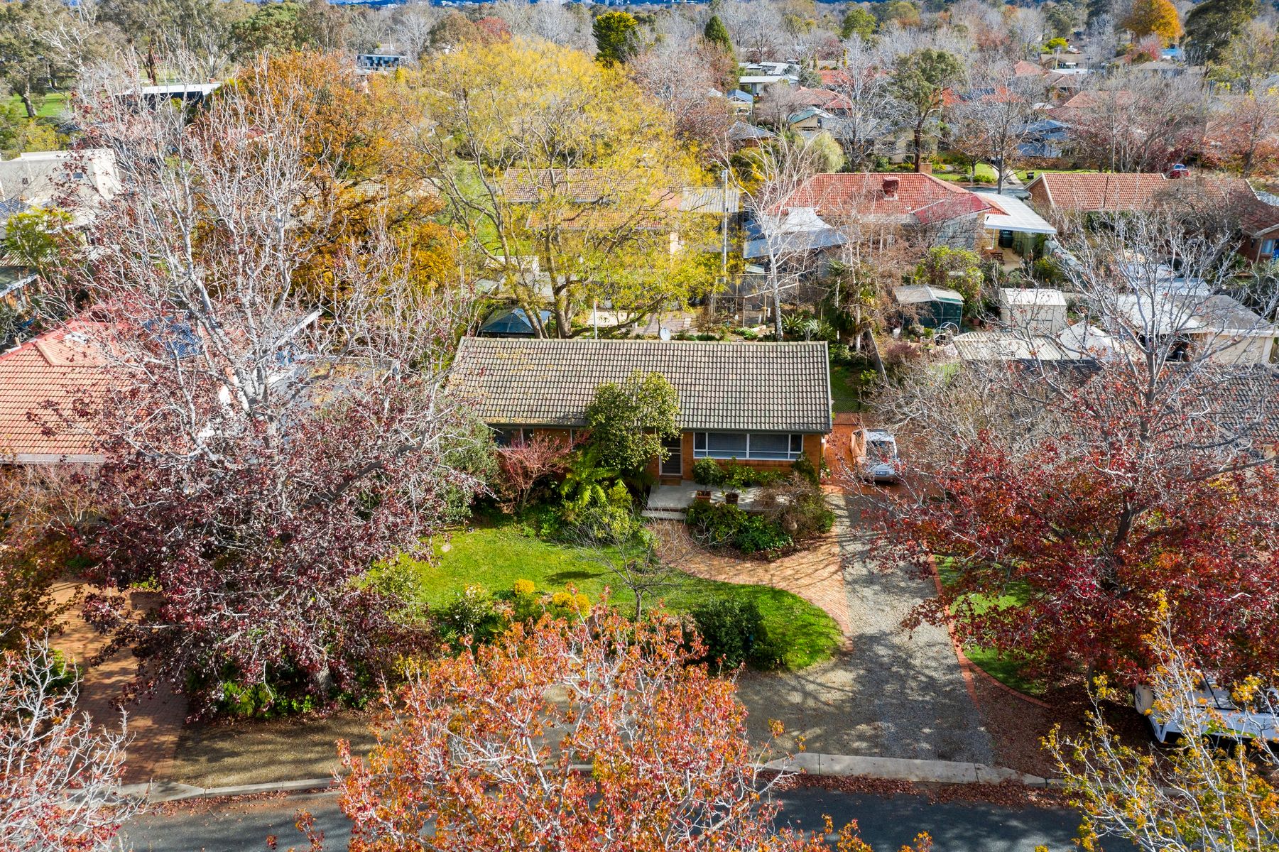Hackett auction featured by Allhomes & Canberra Times