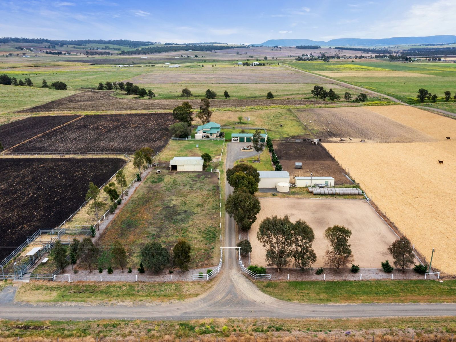 347 Murphys Road, Swan Creek - Thumbnail 3