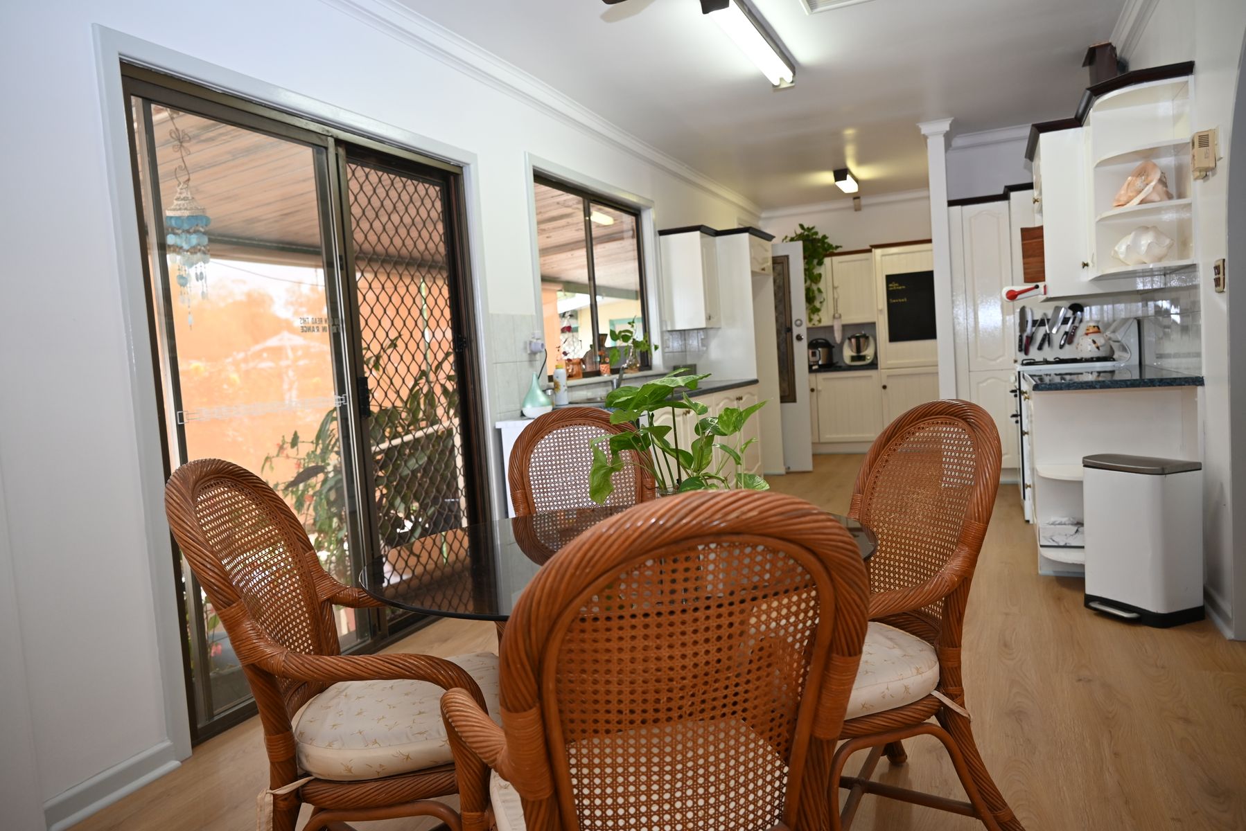 6 Gouge Street, Morgan SA 5320, Morgan - Thumbnail 4