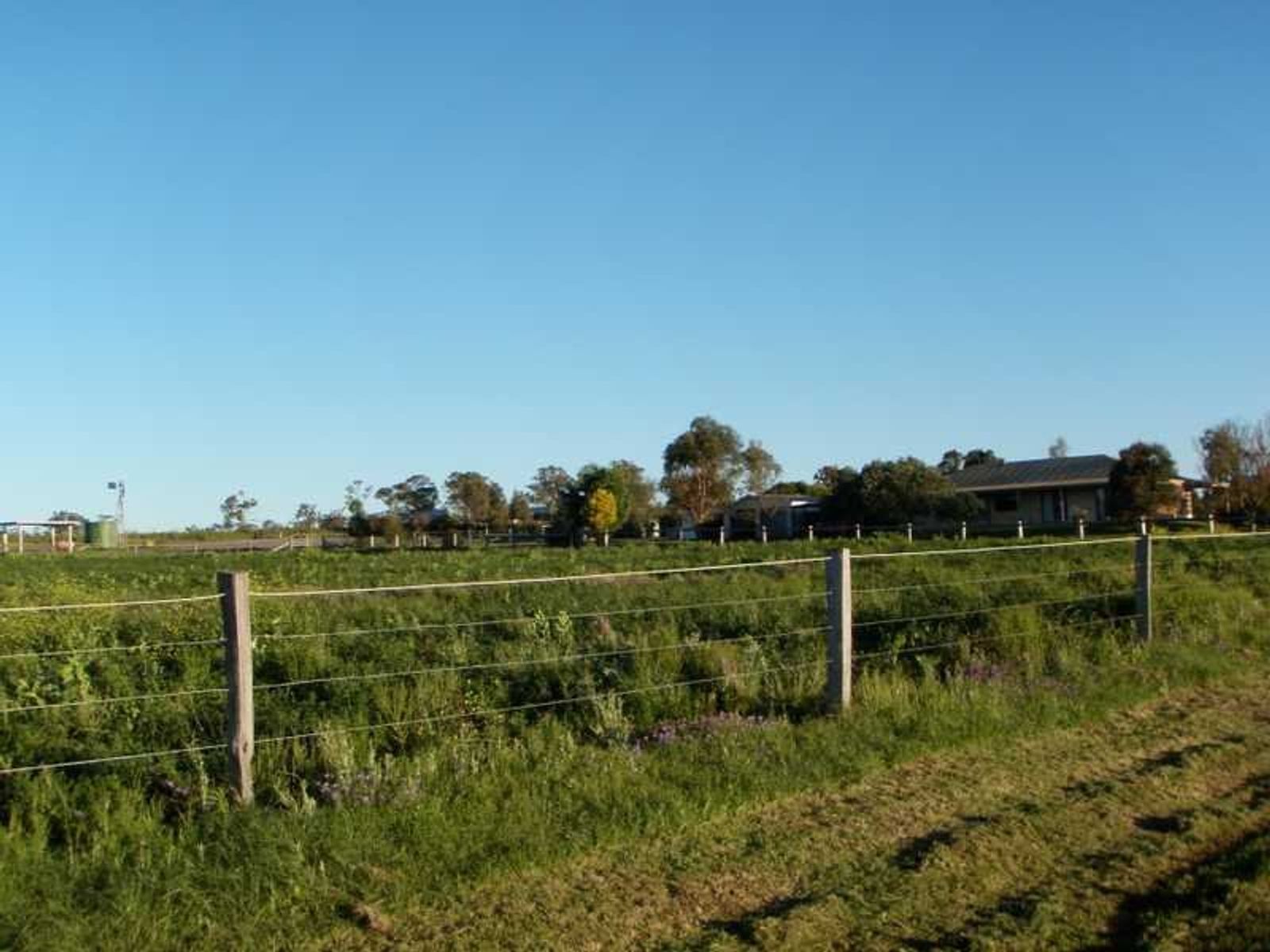 Allora QLD 4362, Allora - Thumbnail 7