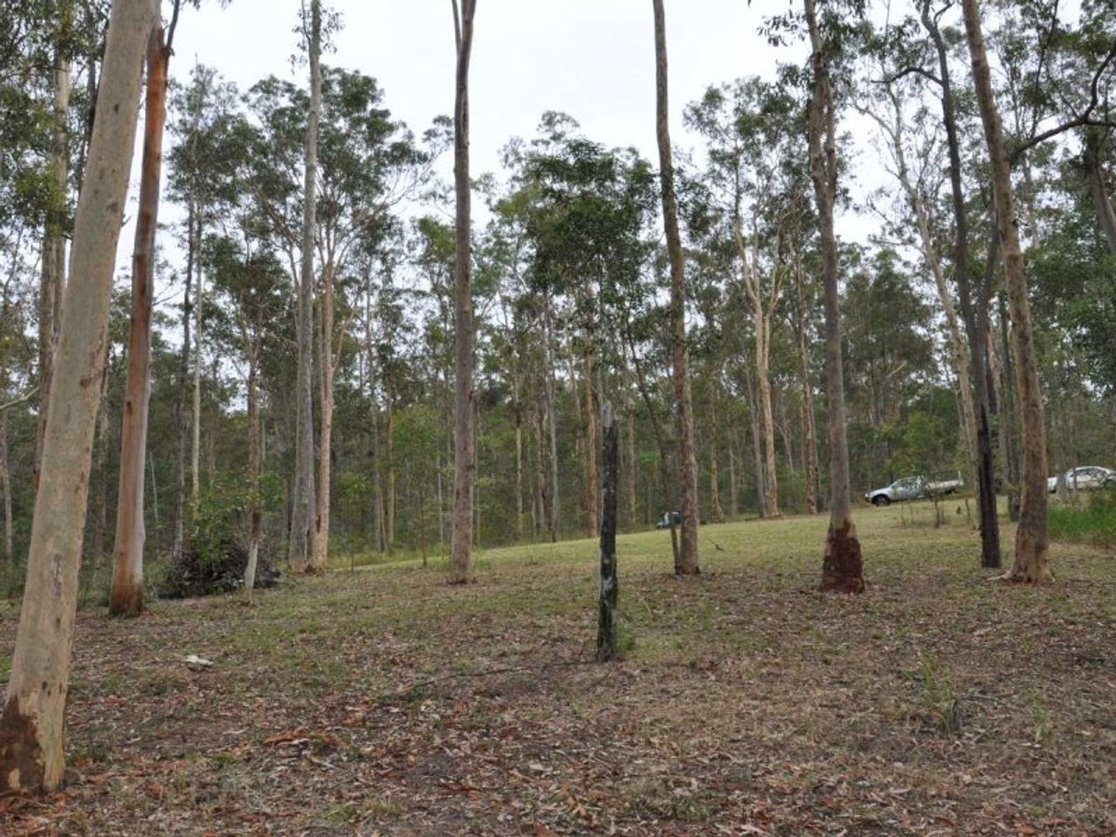 Bruxner Road NSW 2469, Bruxner Road - Thumbnail 5