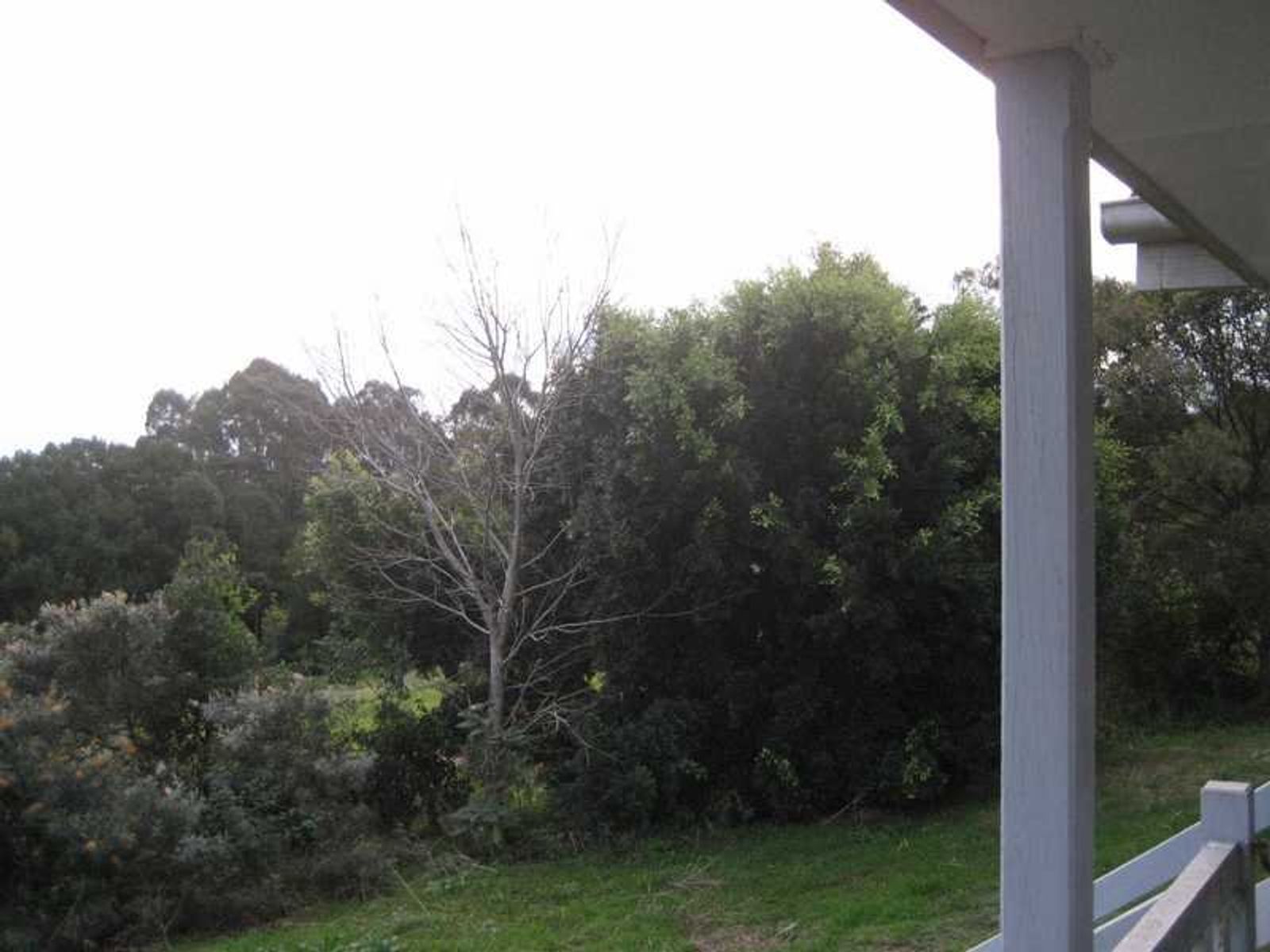 53 McKenzie Street, Lismore - Thumbnail 5