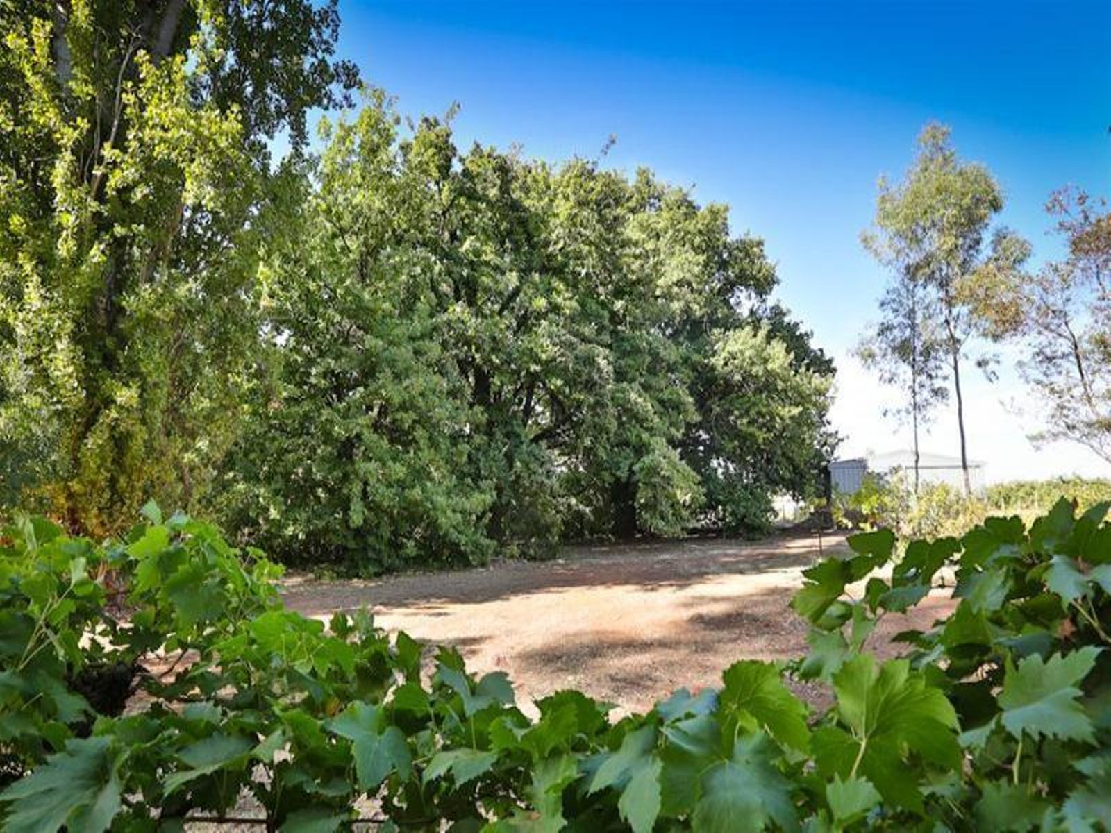 40 Swan Street, Irymple - Thumbnail 6