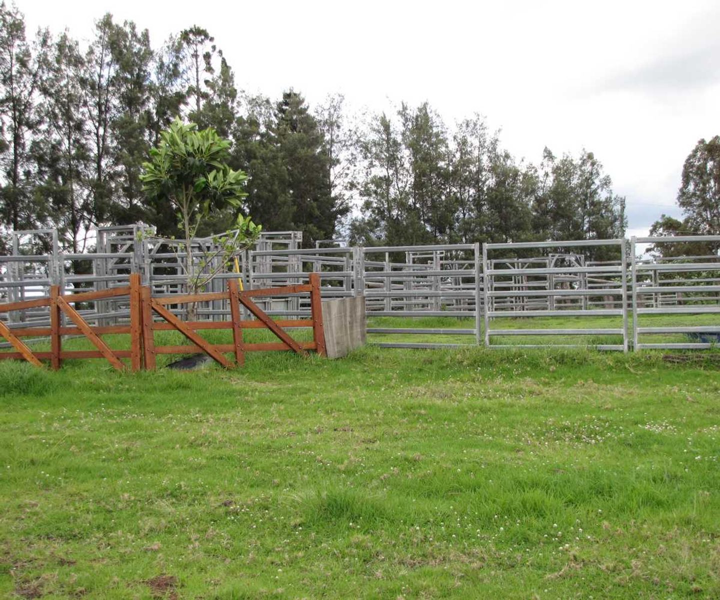 1275 Bulmers Road, Hogarth Range - Thumbnail 7
